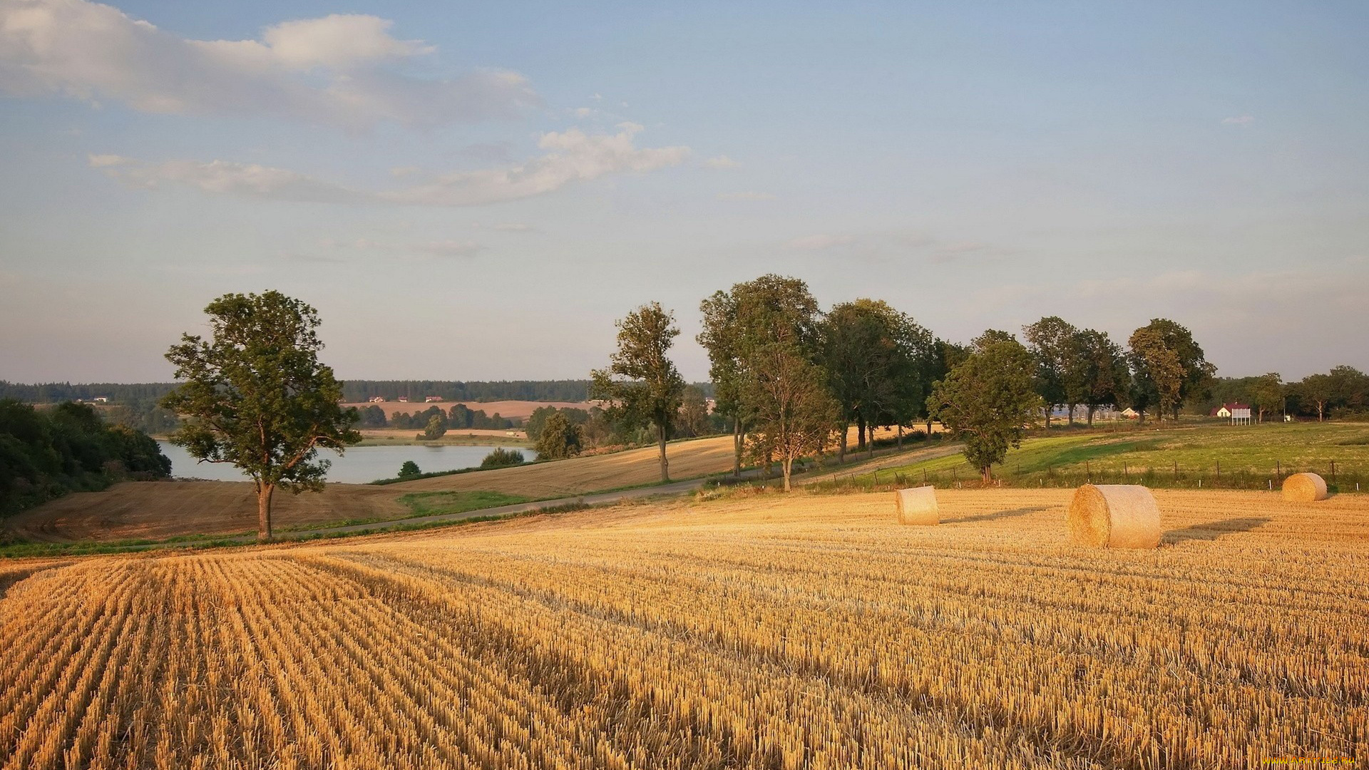 природа, поля, речка, поле, деревья