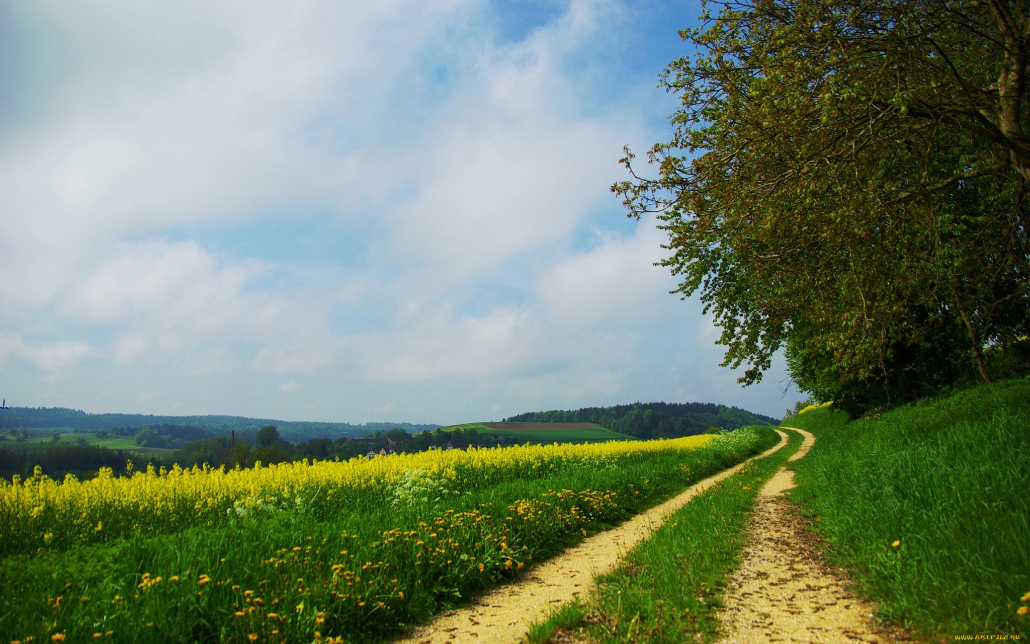 природа, дороги, дорога, поле