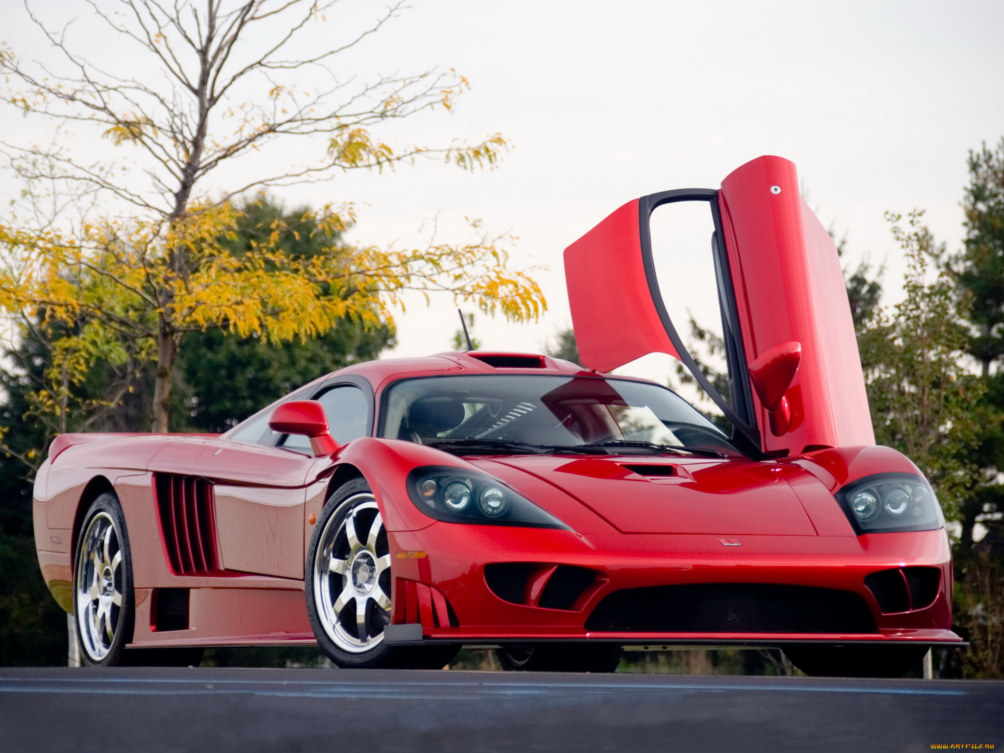 автомобили, saleen, авто