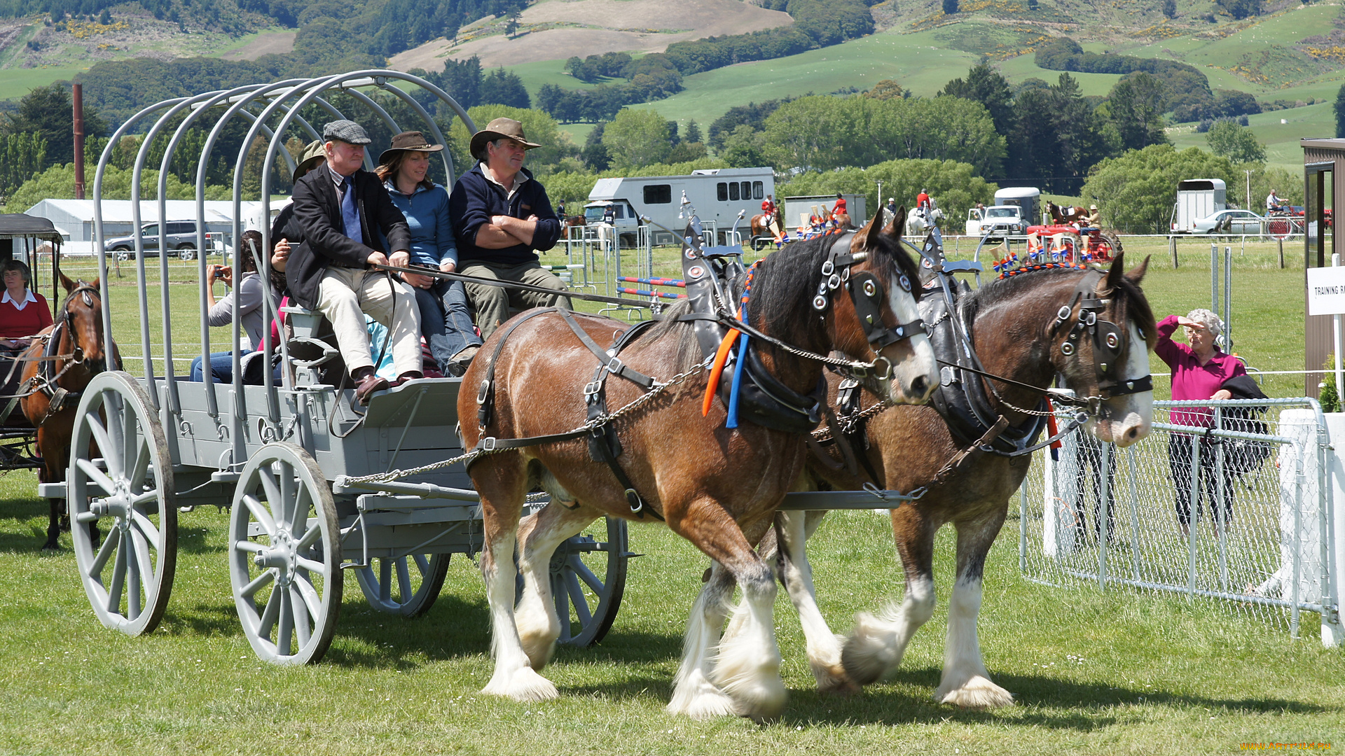 разное, транспортные, средства, и, магистрали, седоки, лошади, тяжеловозы, повозка, экипаж