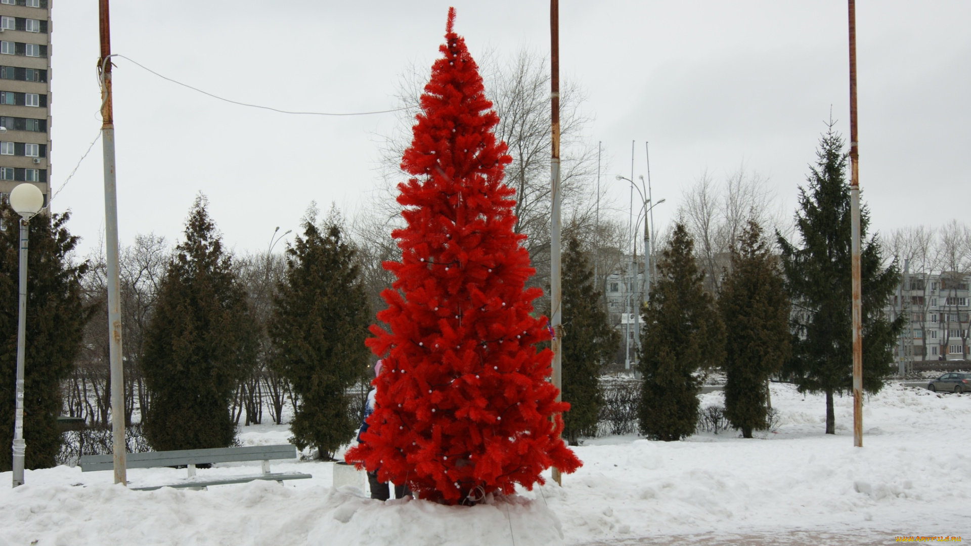 в, семье, не, без, урода, юмор, и, приколы, дом, снег, столб, елки