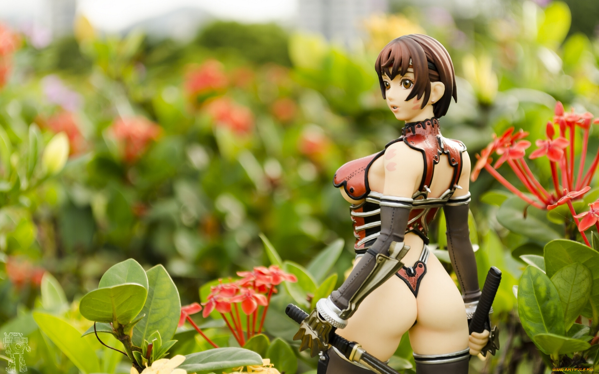 разное, игрушки, кукла, игрушка, цветы, воительница