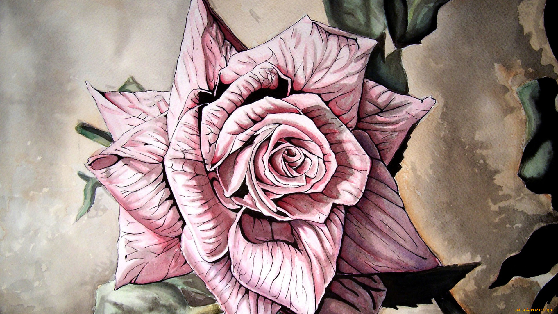 рисованное, цветы, розовая, цветок, роза