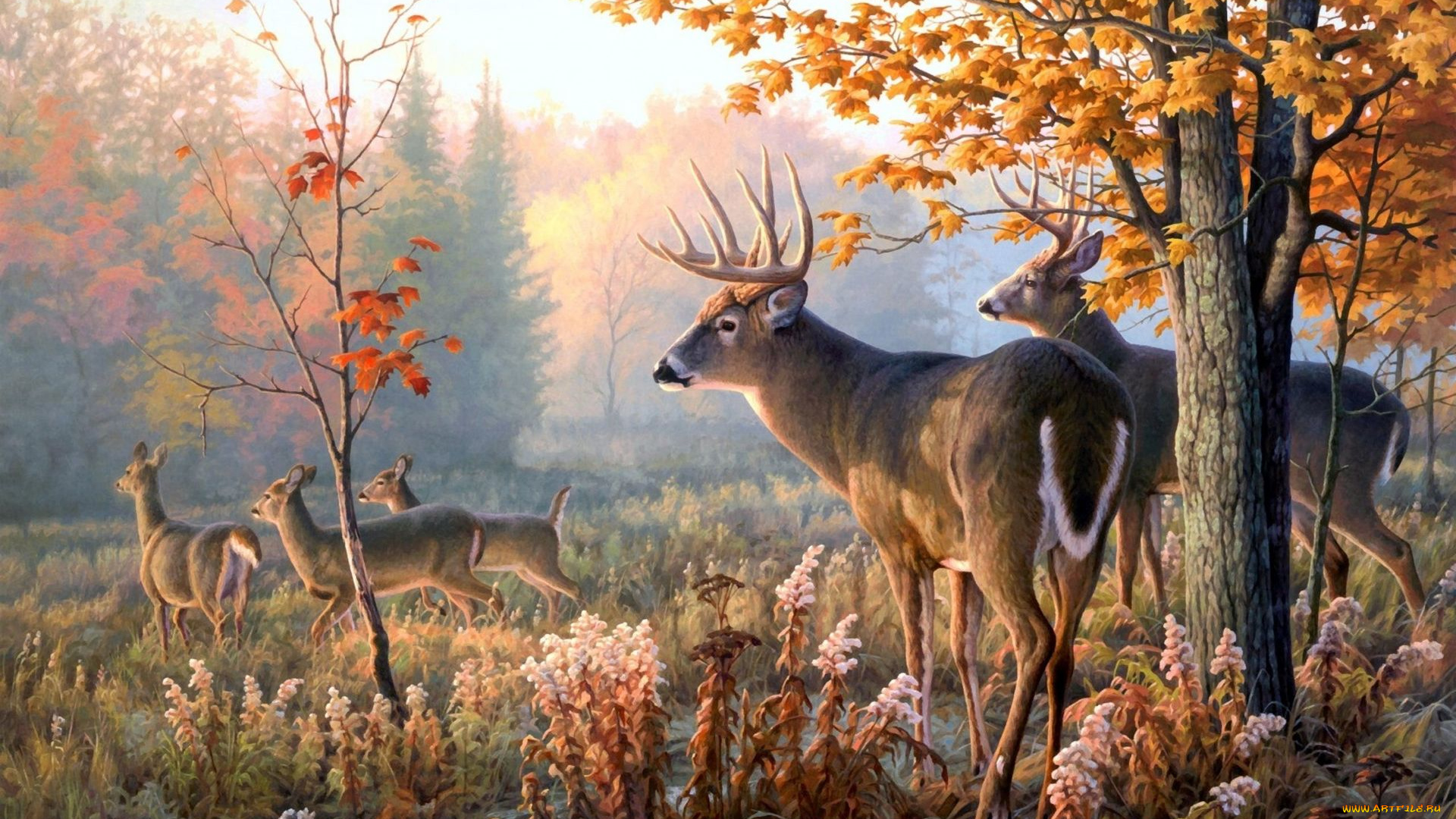 рисованное, животные, , олени, поляна, лес, олени