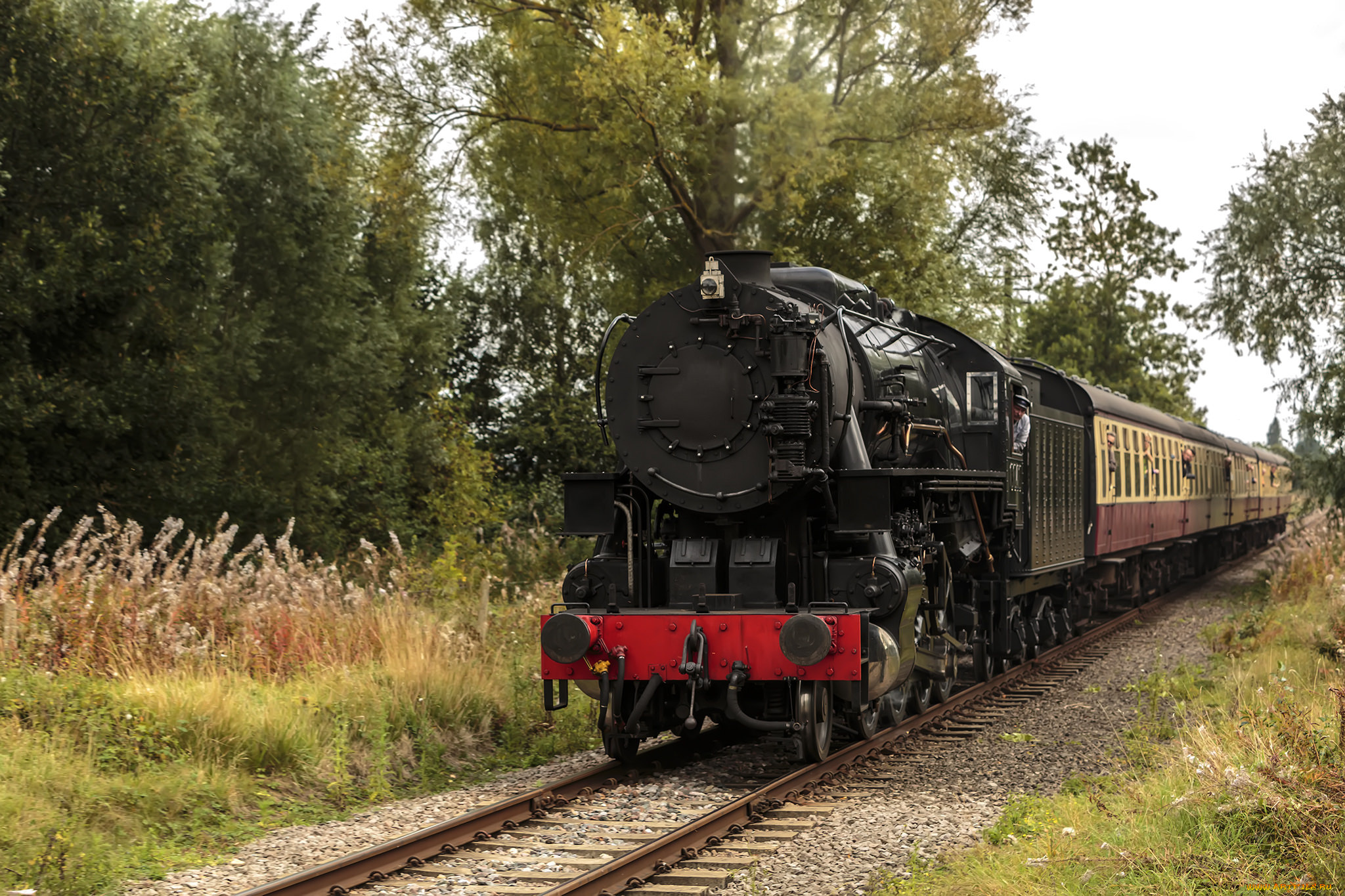 техника, паровозы, паровоз, дорога, железная