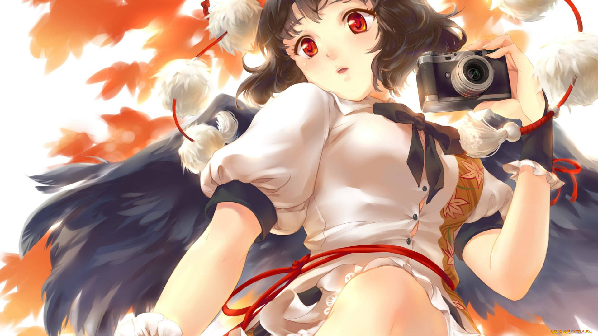 аниме, touhou, девушка, resha, арт, shameimaru, aya, крылья, фотоаппарат