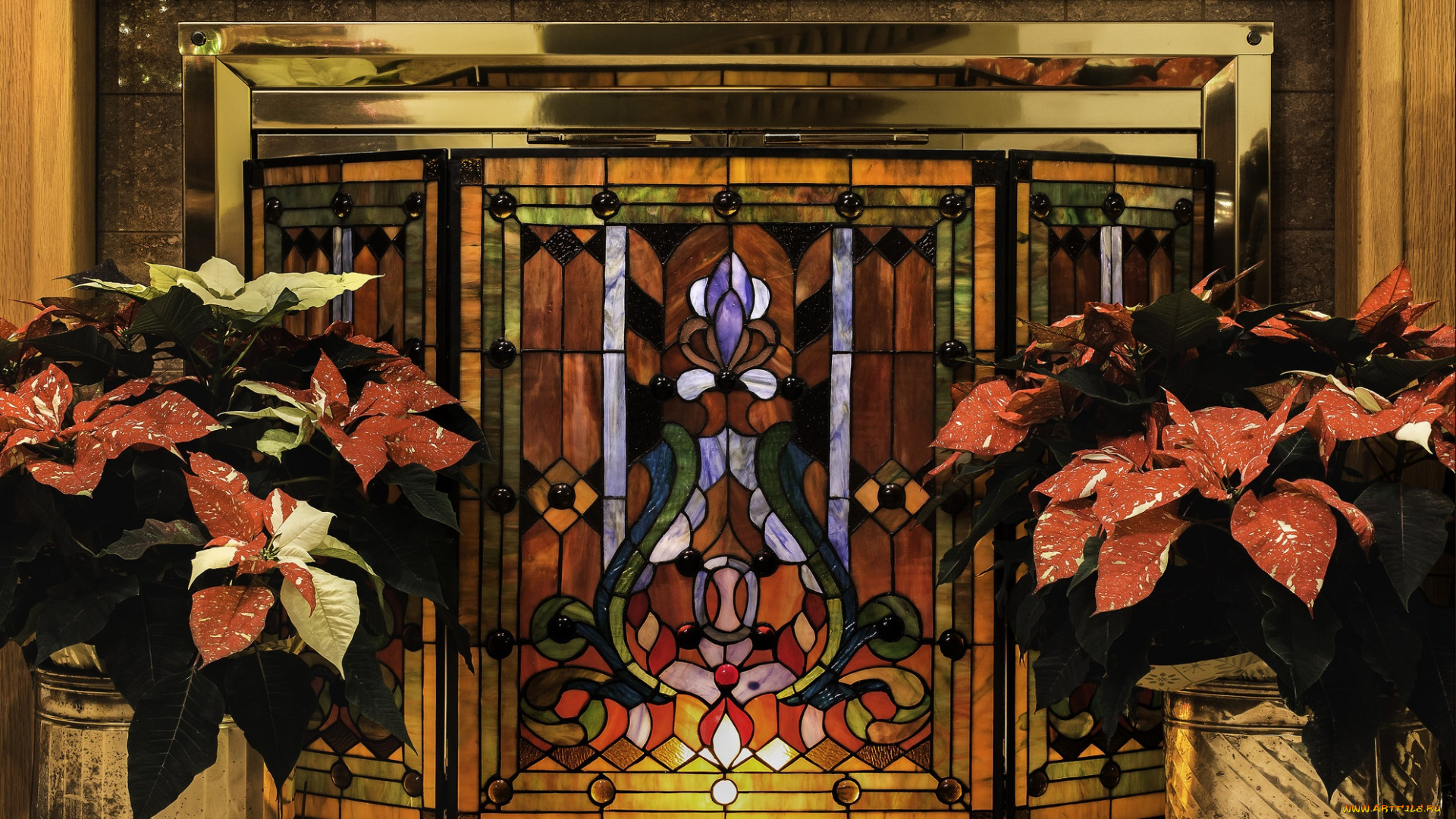 цветы, комнатные, лиственные