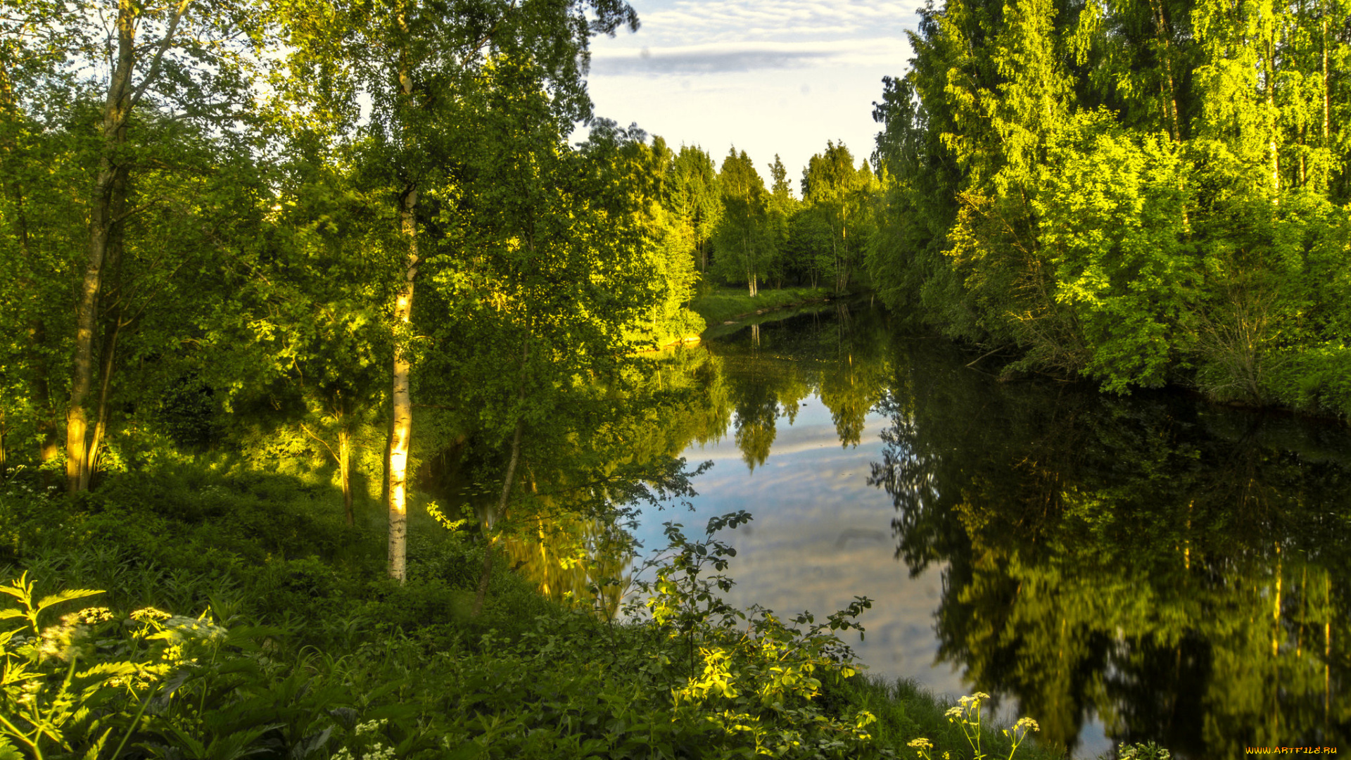 природа, реки, озера, лес, река