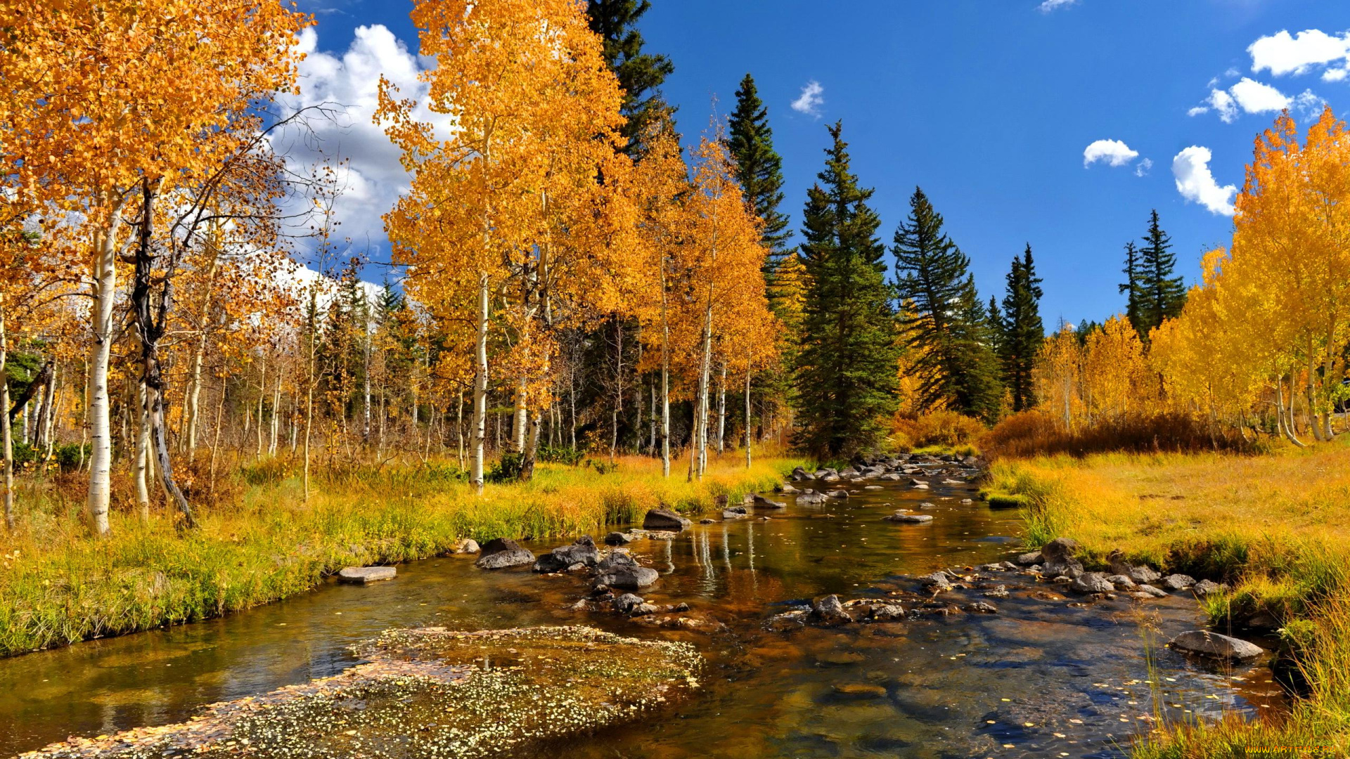 природа, реки, озера, лес, река, осень