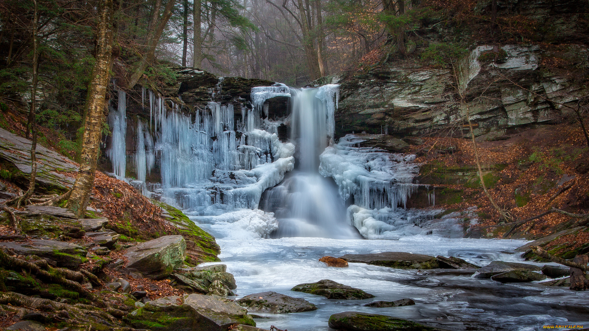природа, водопады, водопад, река, лес