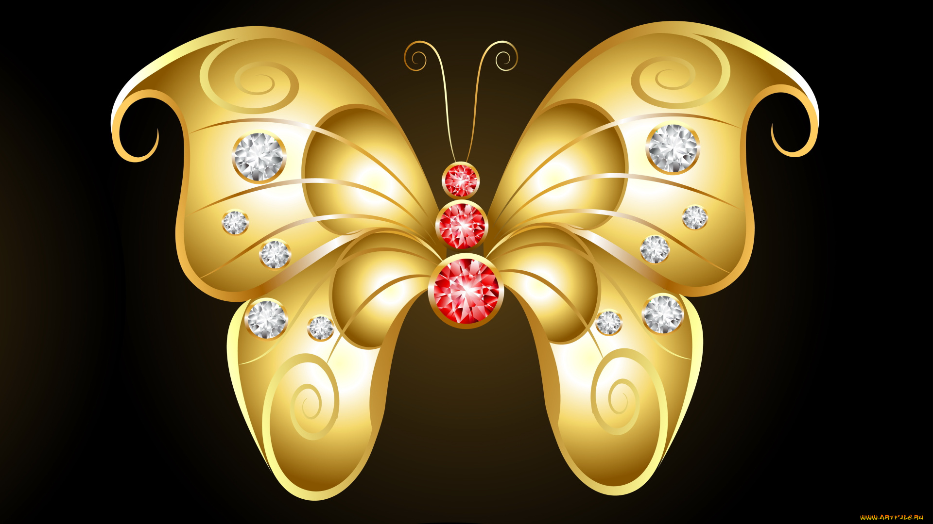 векторная, графика, животные, , animals, золотая, темный, фон, камешки, бабочка
