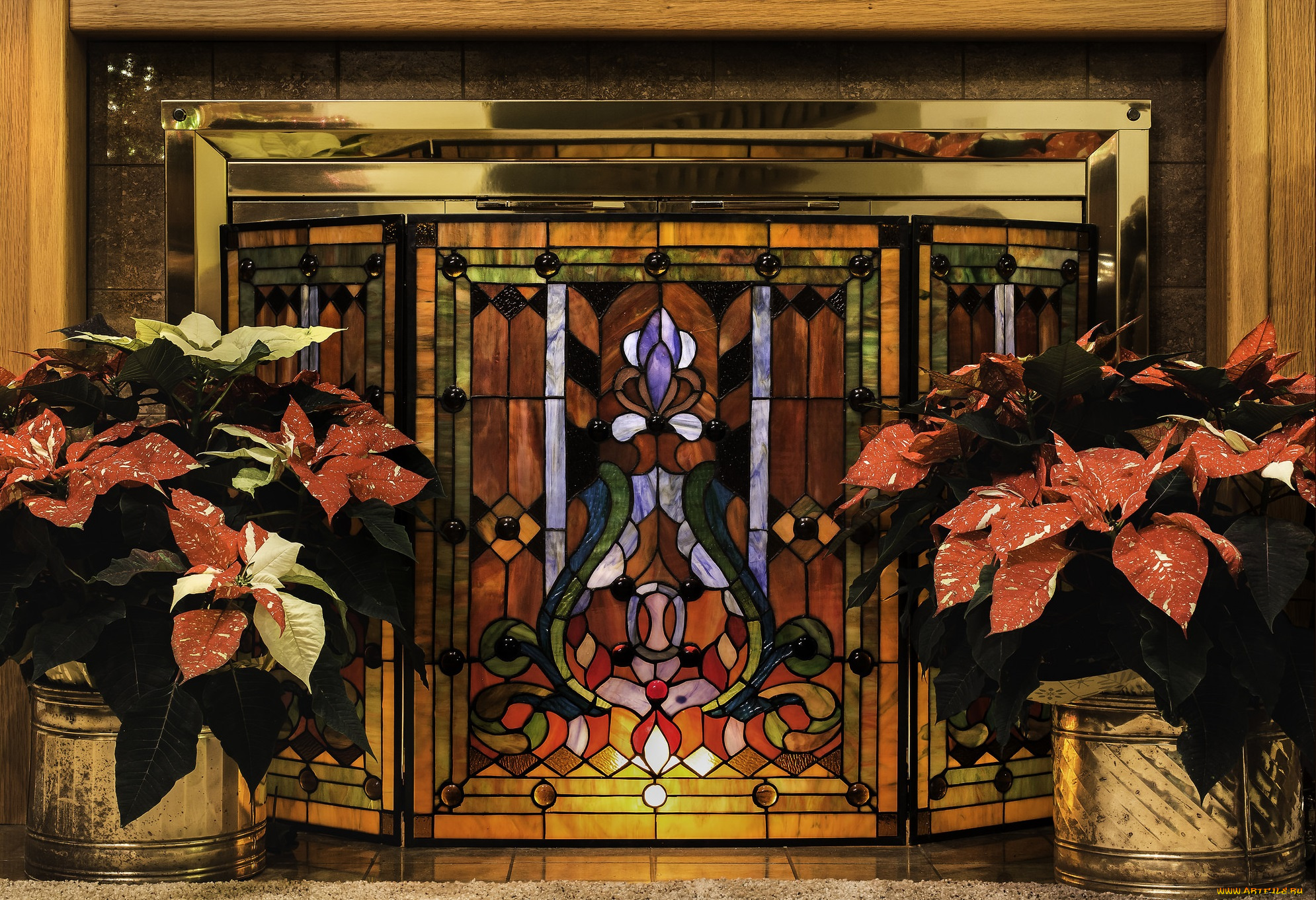 цветы, комнатные, лиственные