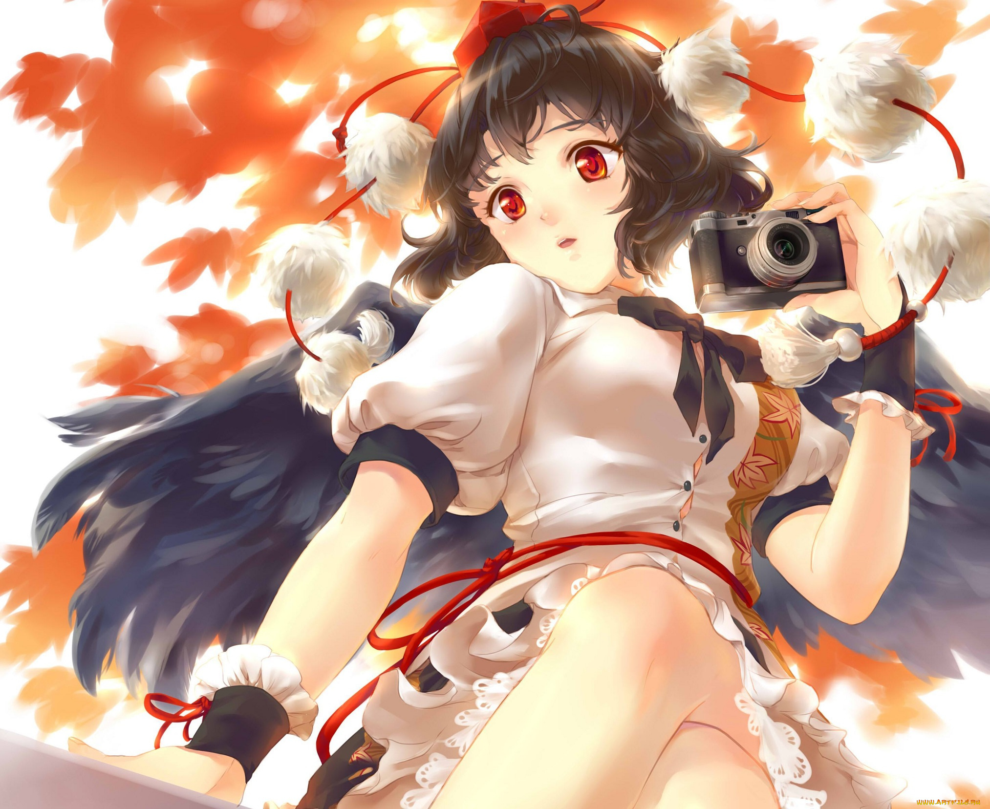 аниме, touhou, девушка, resha, арт, shameimaru, aya, крылья, фотоаппарат