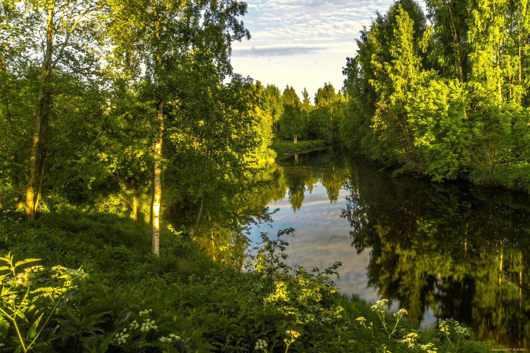 природа, реки, озера, лес, река