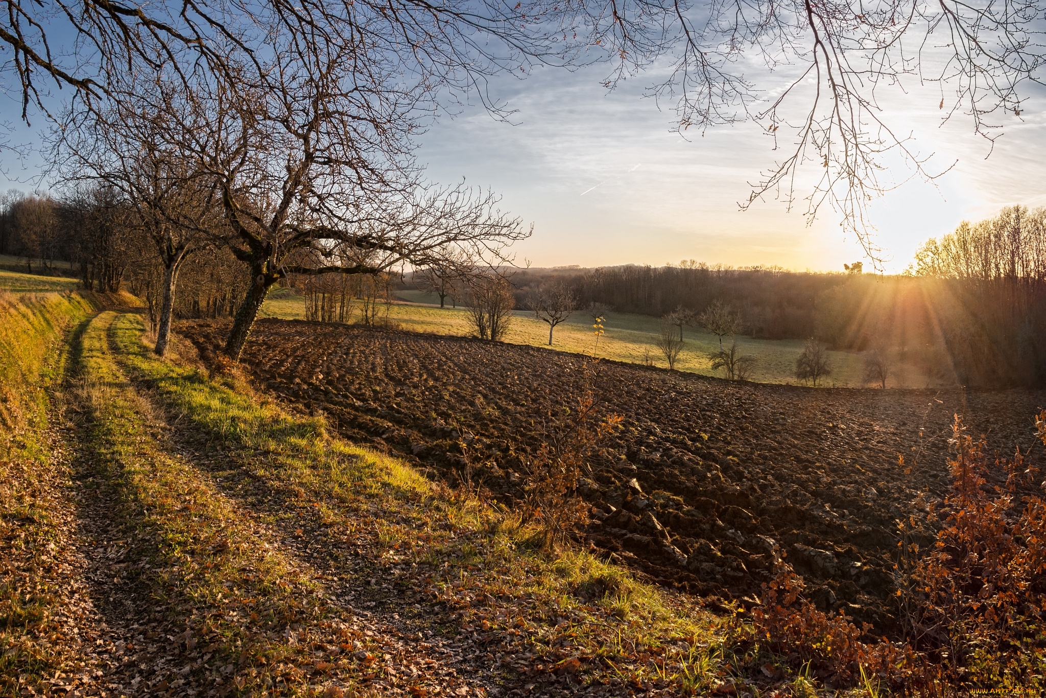 природа, восходы, закаты, рассвет