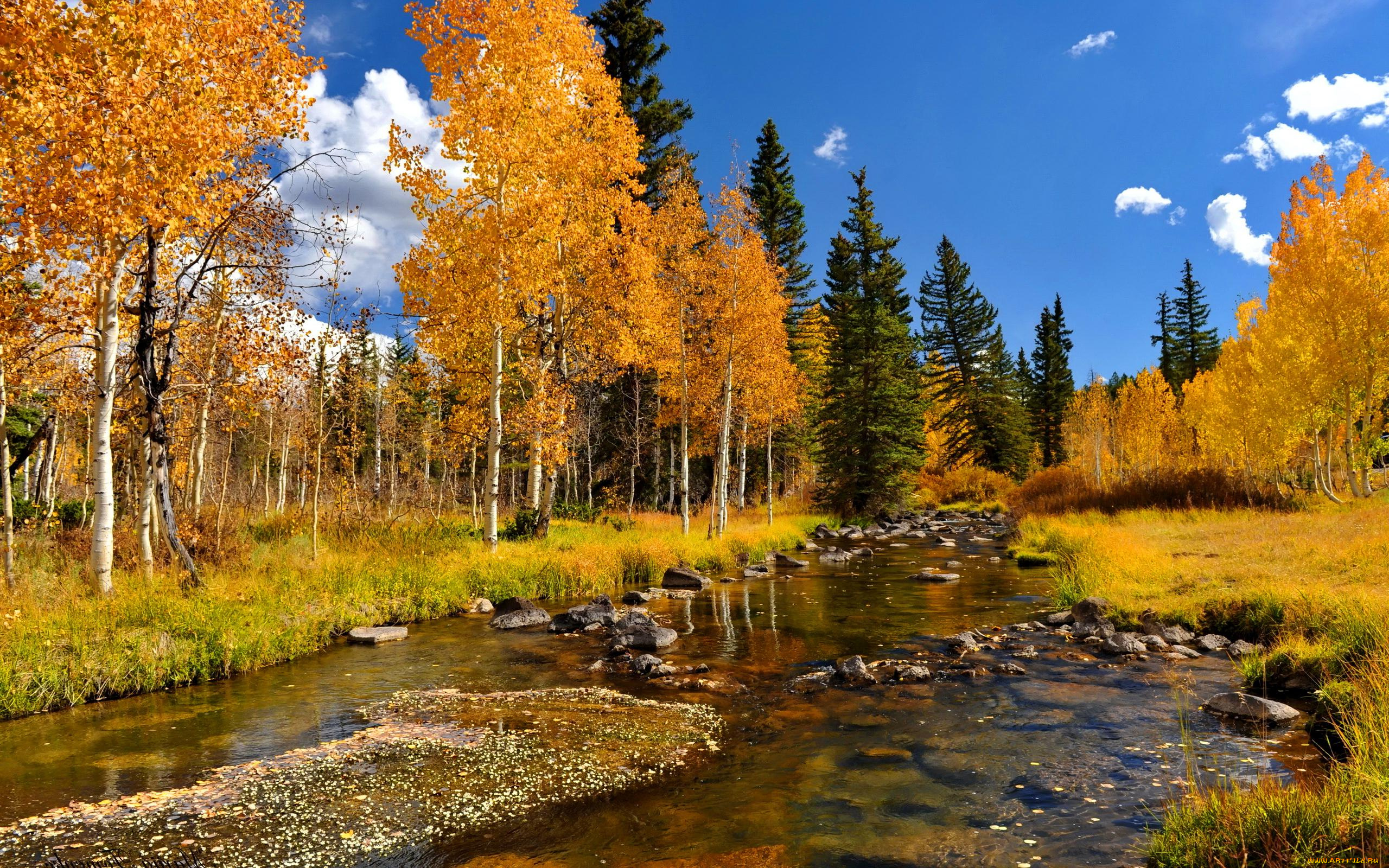 природа, реки, озера, лес, река, осень