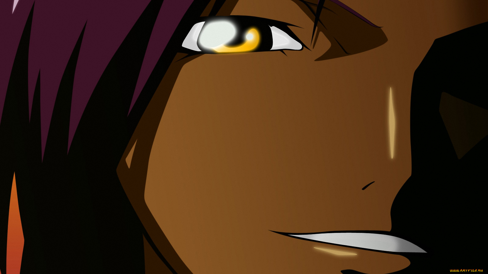 аниме, bleach, улыбка, gotei13, взгляд, shinigami, yoruichi, shihoin