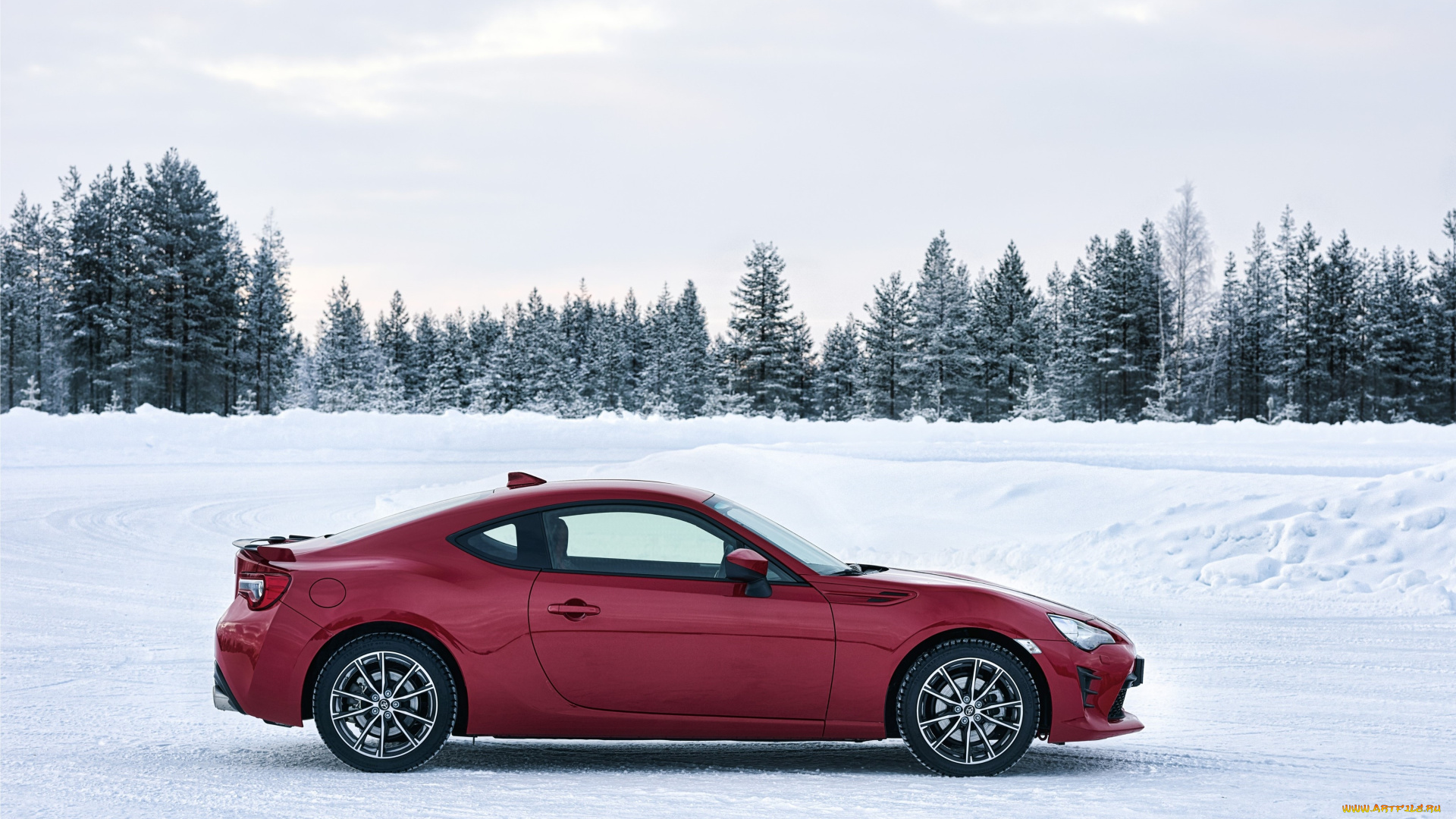 автомобили, toyota