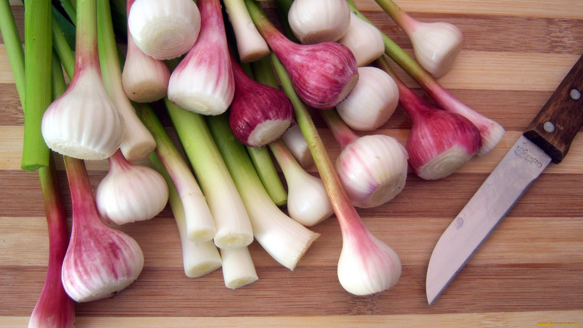 еда, Чеснок, молодой, перья, головки, свежий