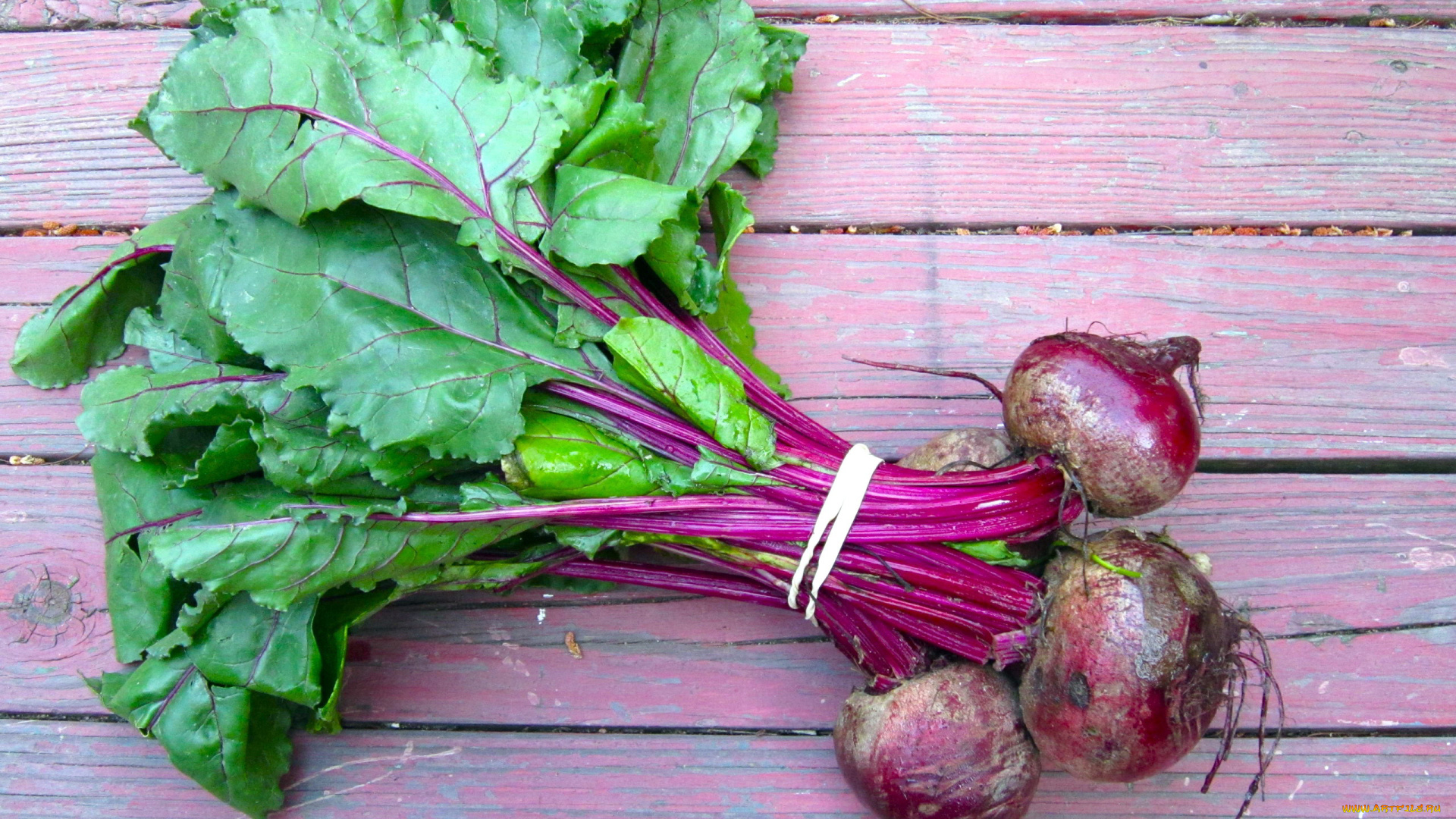 еда, овощи, свекла