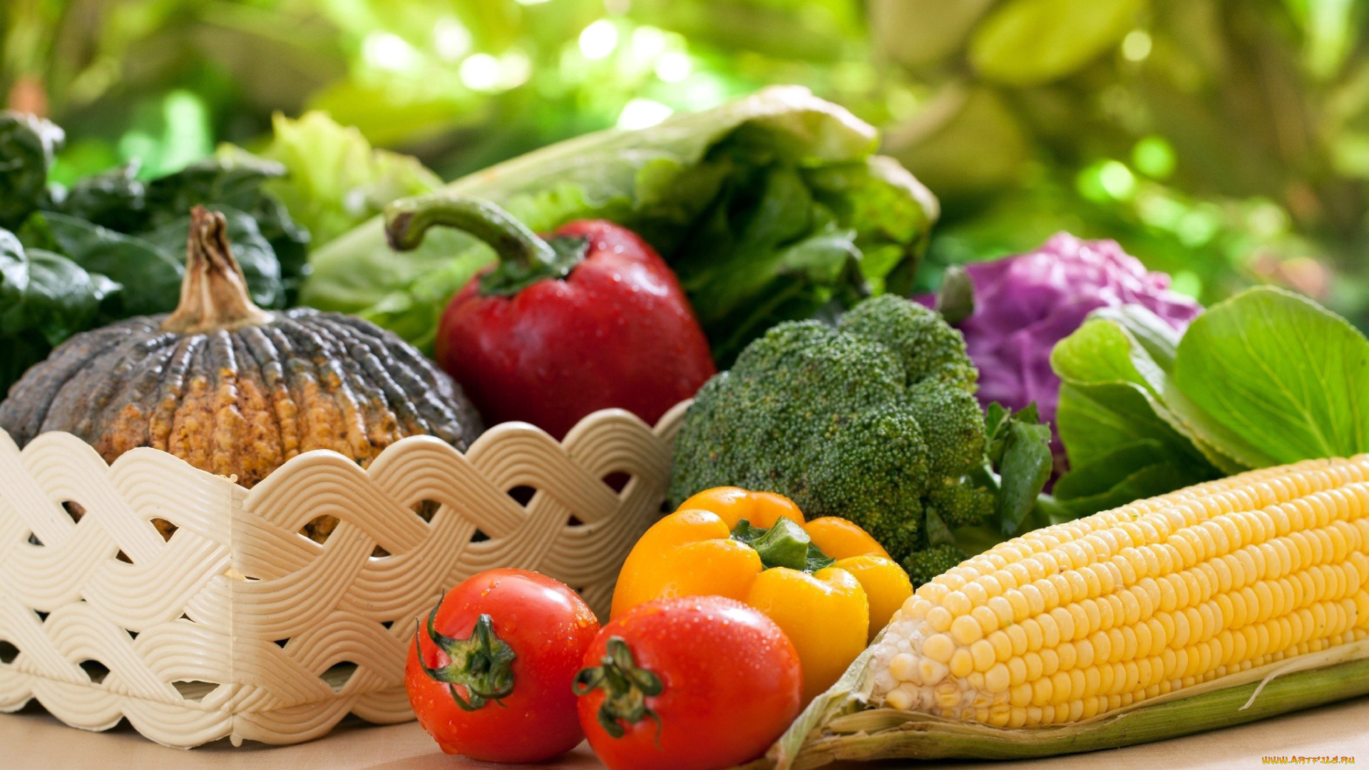 еда, овощи, тыква, брокколи, кукуруза, початок, помидоры, томаты