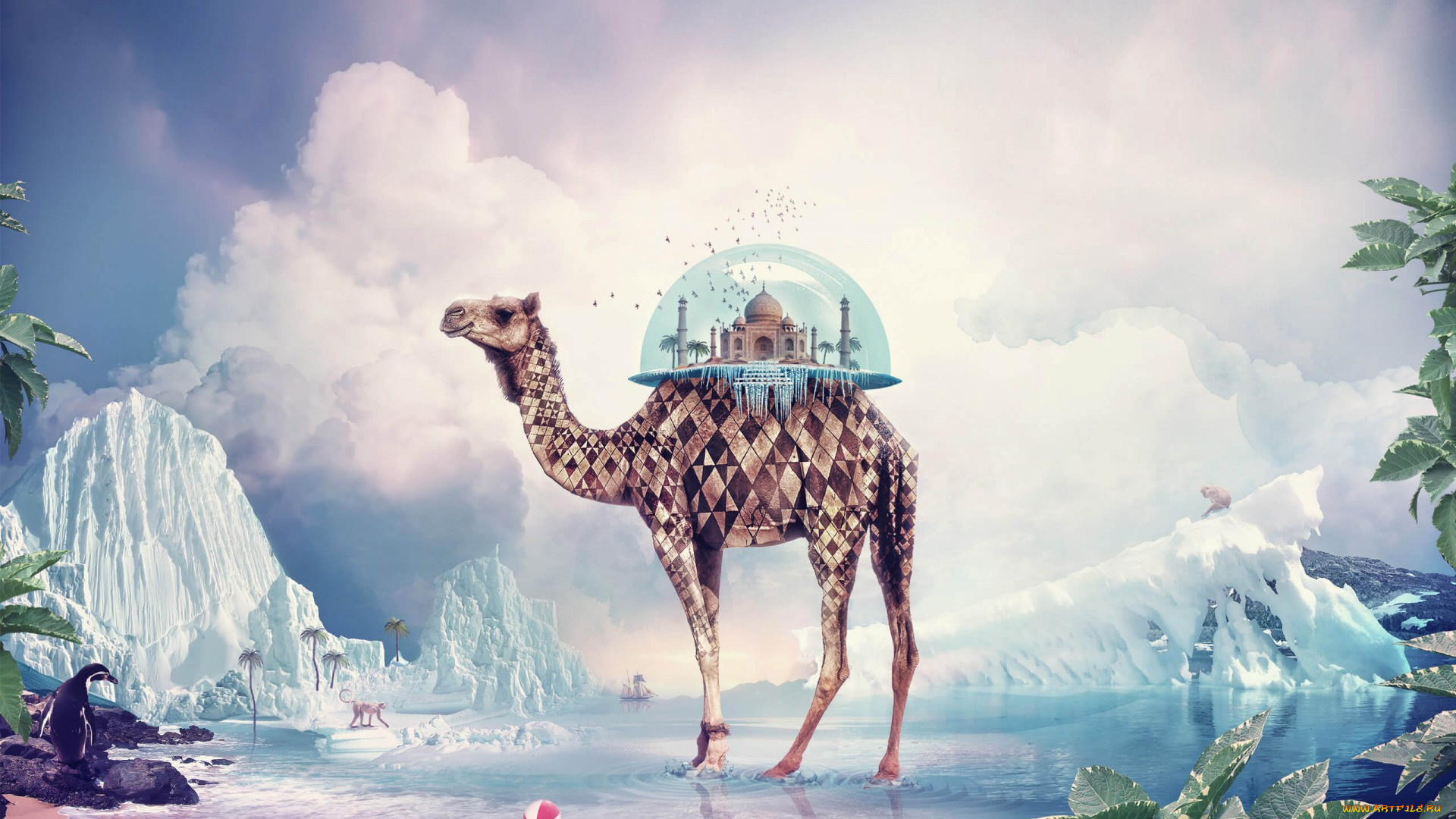 fantasy, camel, фэнтези, фотоарт, фэнтази