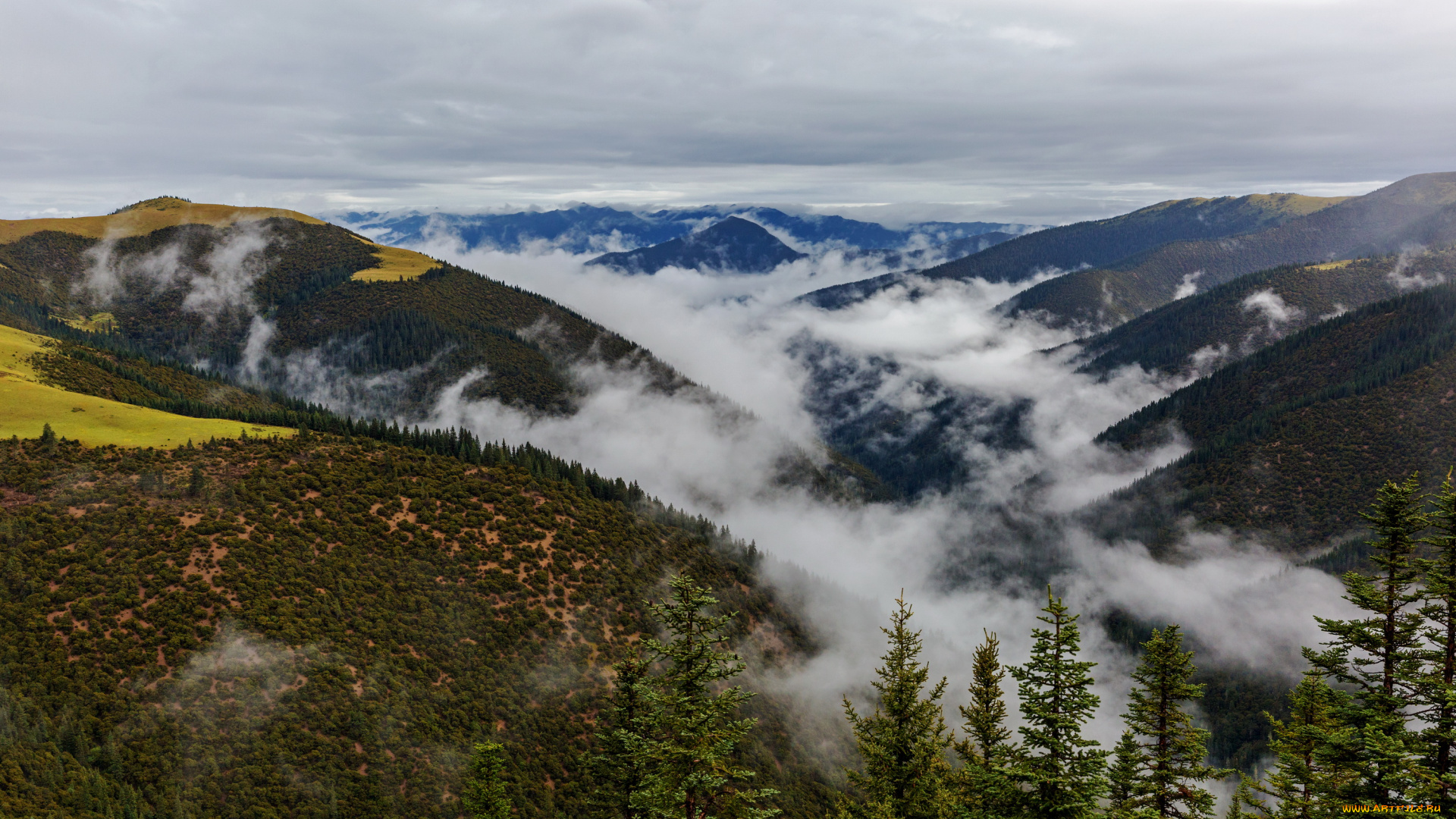 природа, горы, туман