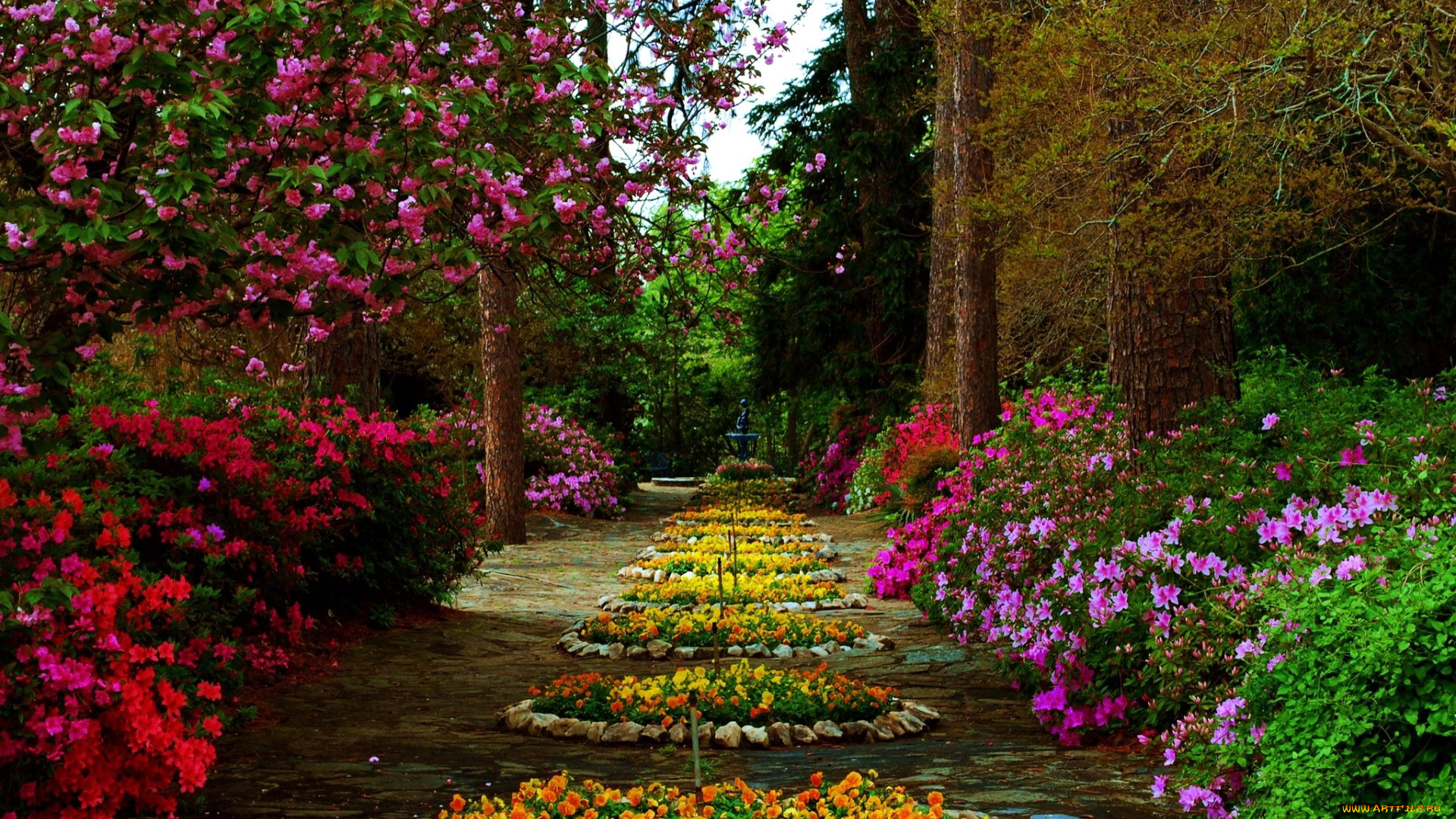 природа, парк, клумбы, цветущие, кусты