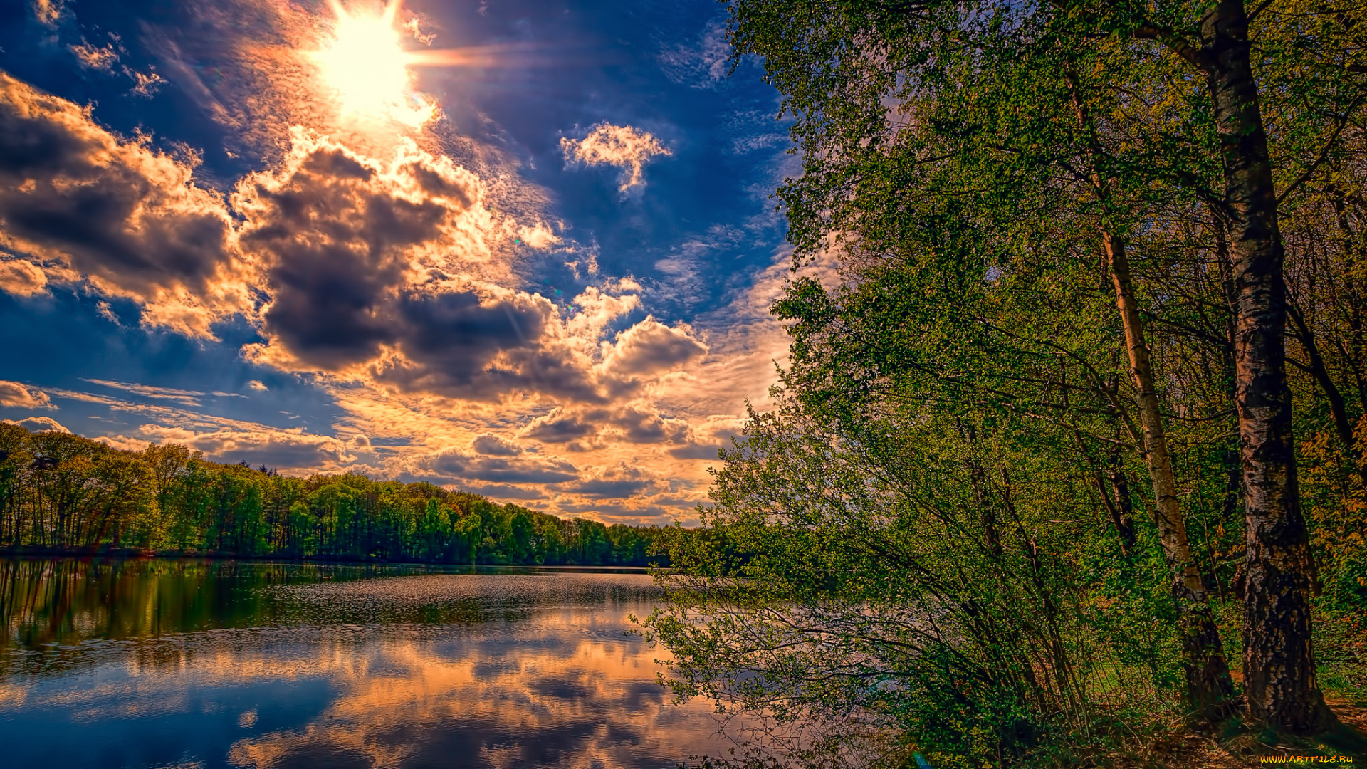 природа, реки, озера, лес, река