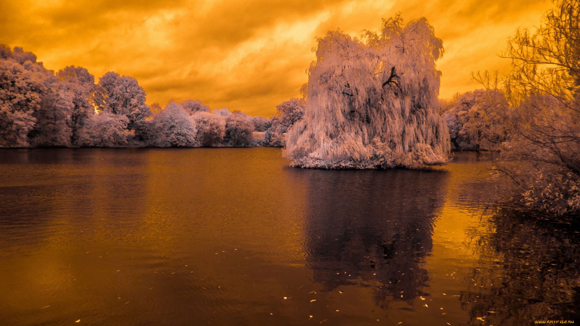 природа, реки, озера, осень