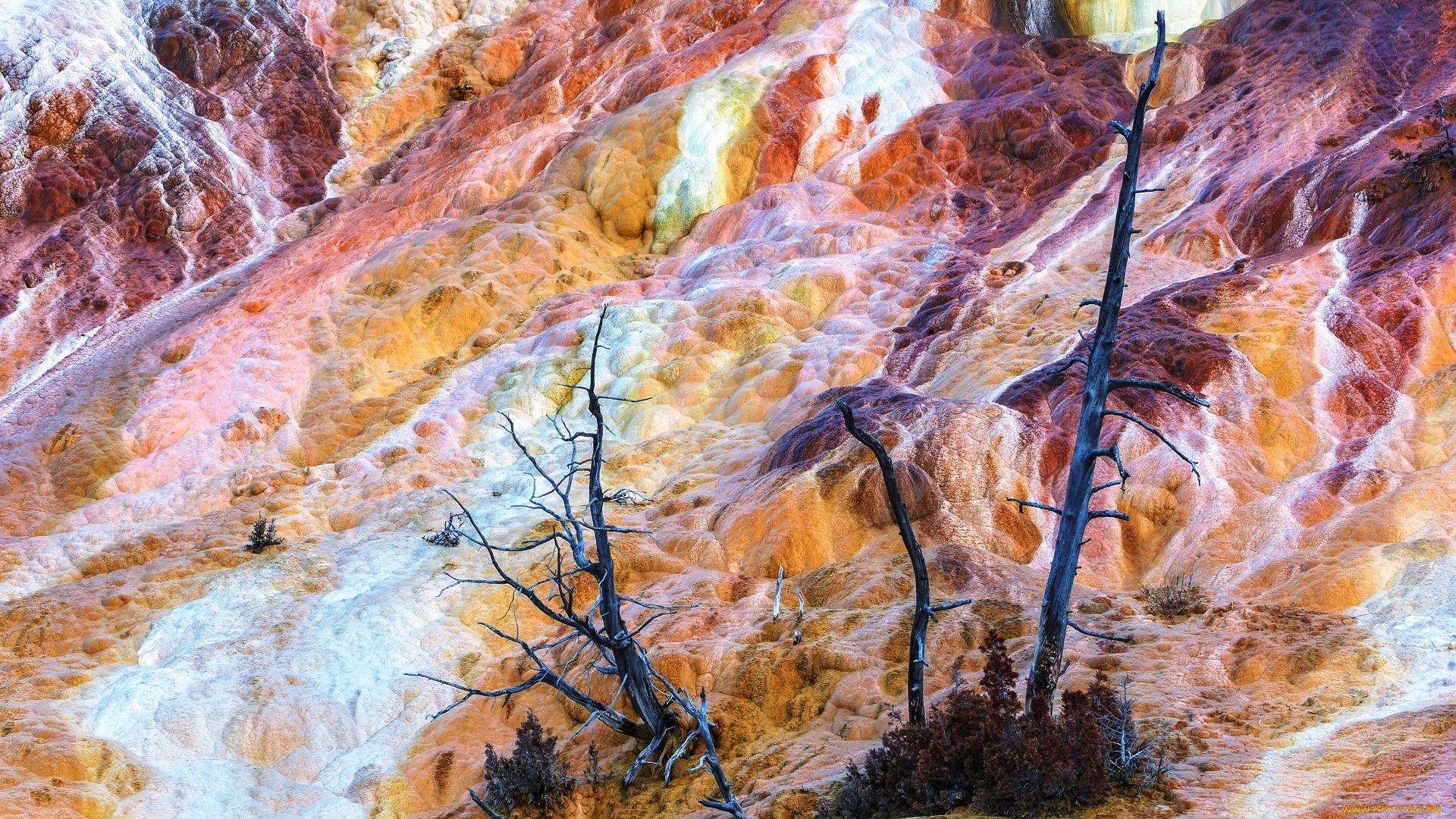 природа, реки, озера, склон, деревья, поток, река, скала