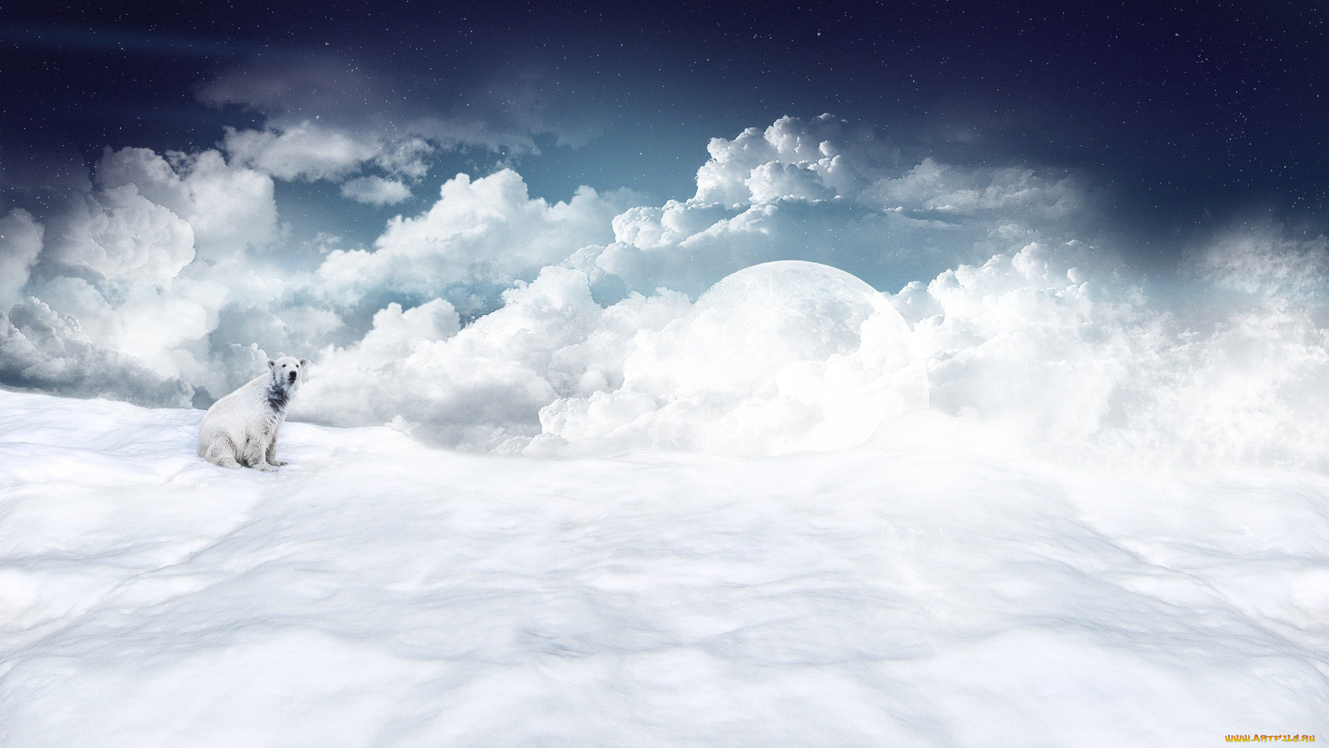 разное, компьютерный, дизайн, белый, полярный, облака, снег, планета, медведь
