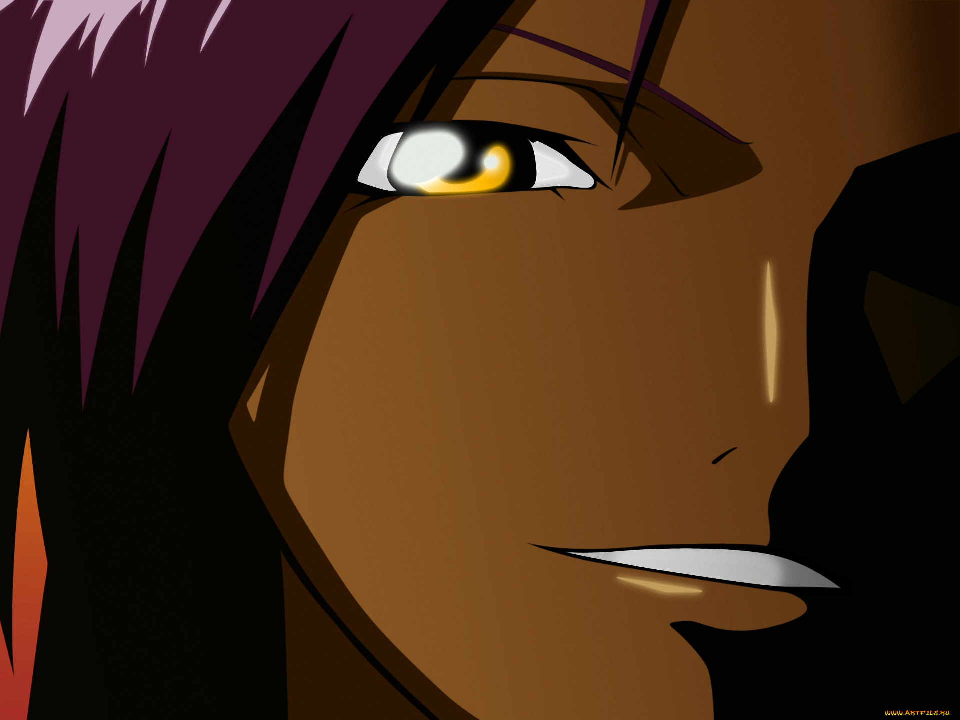 аниме, bleach, улыбка, gotei13, взгляд, shinigami, yoruichi, shihoin