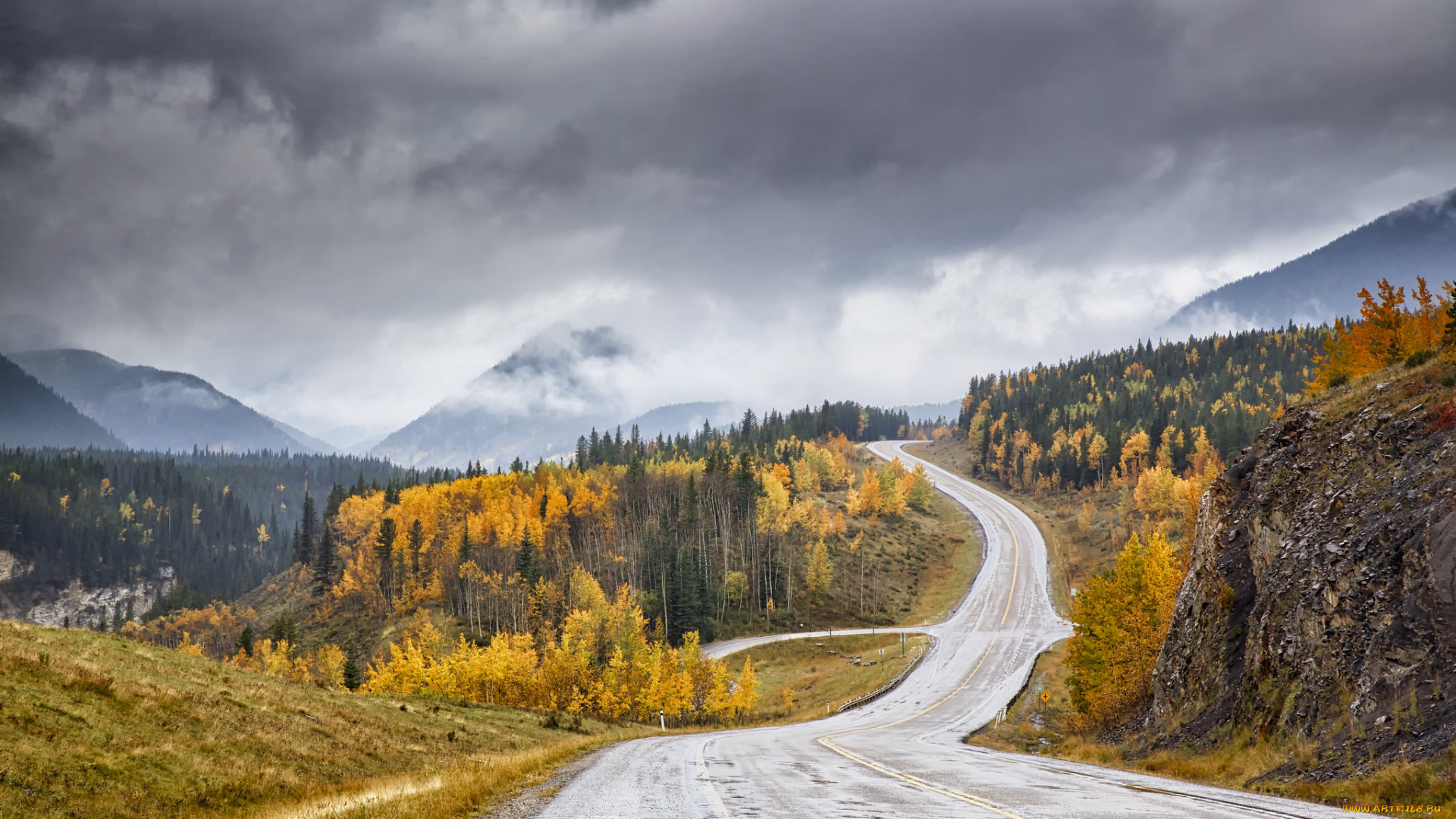 природа, дороги, простор