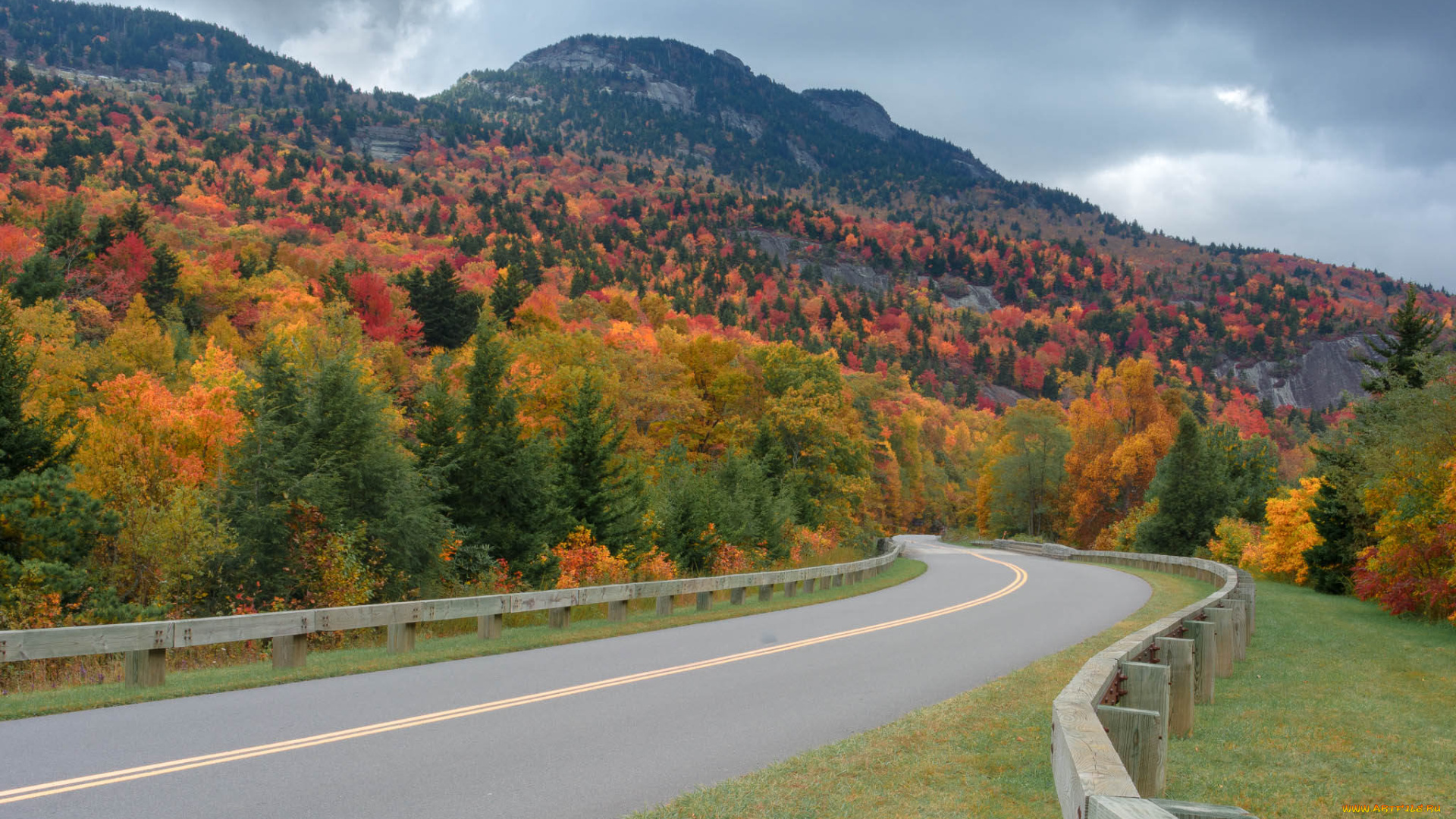 природа, дороги, простор