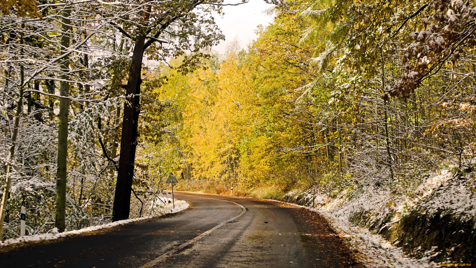 природа, дороги, шоссе, снег