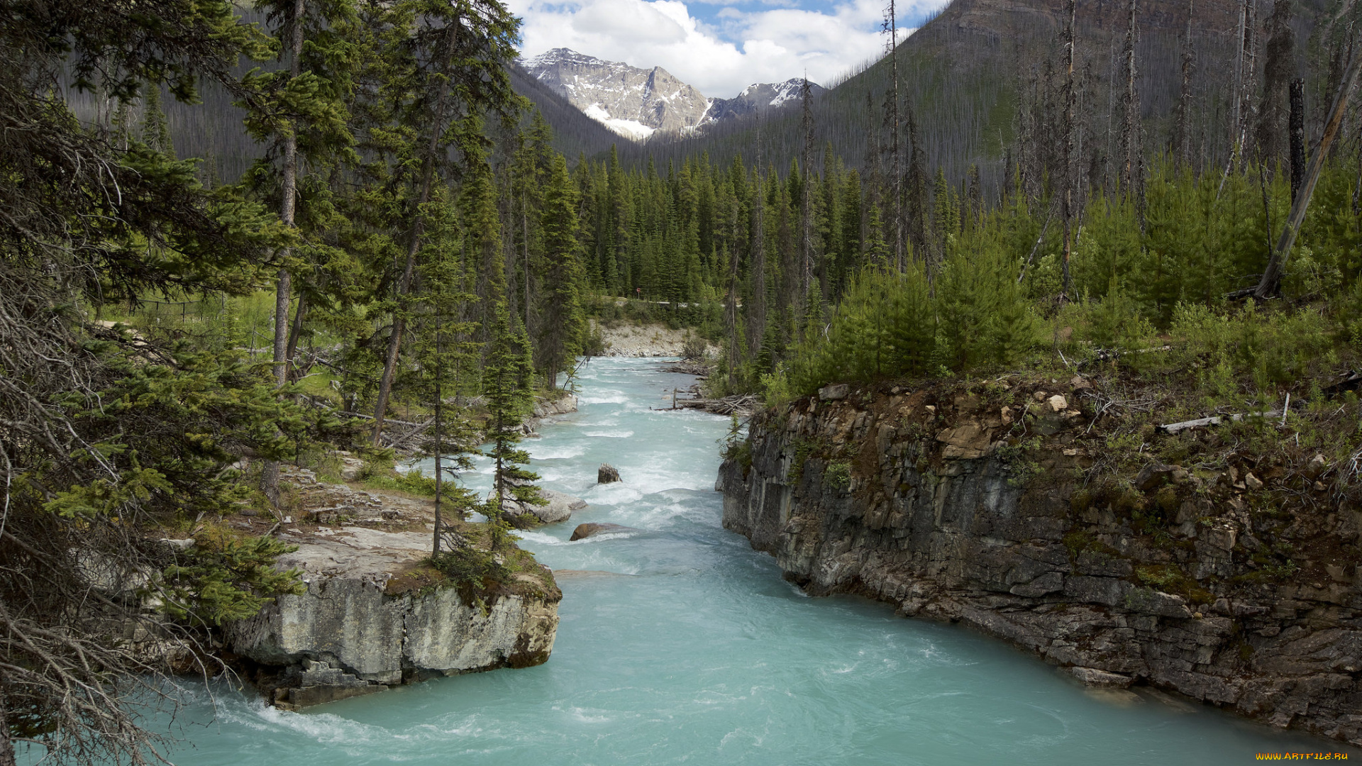 природа, реки, озера, простор