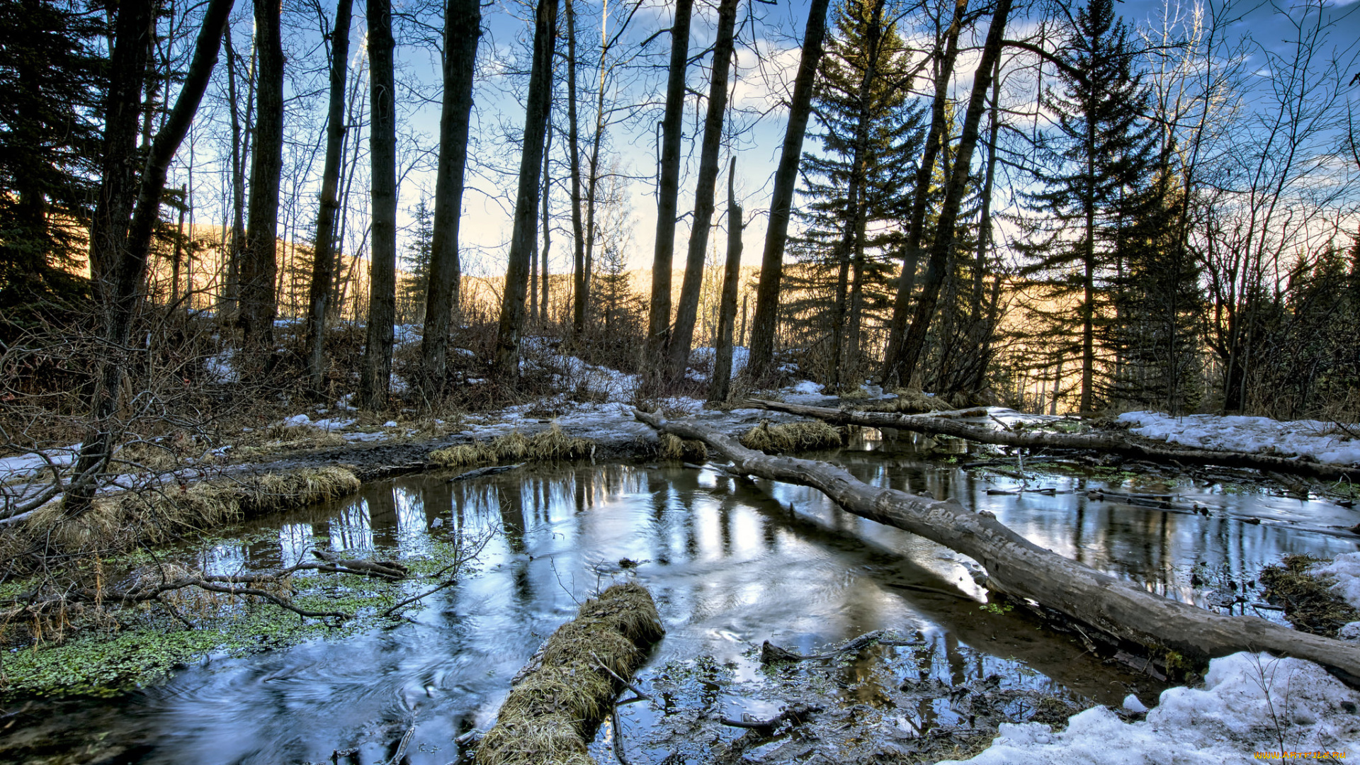 природа, реки, озера, простор