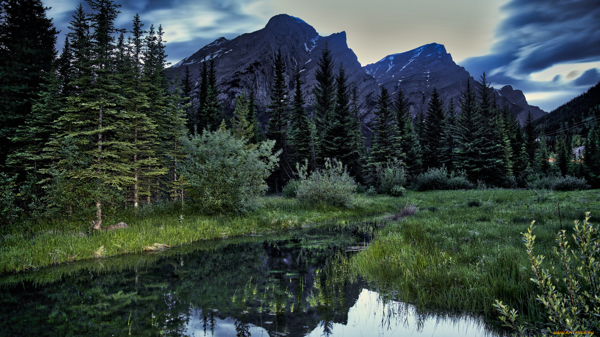 природа, реки, озера, простор