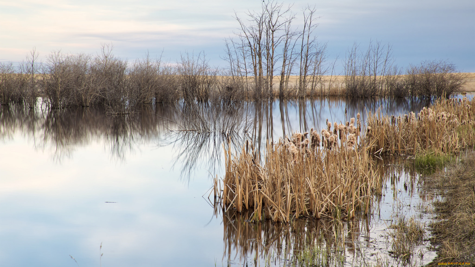 природа, реки, озера, простор