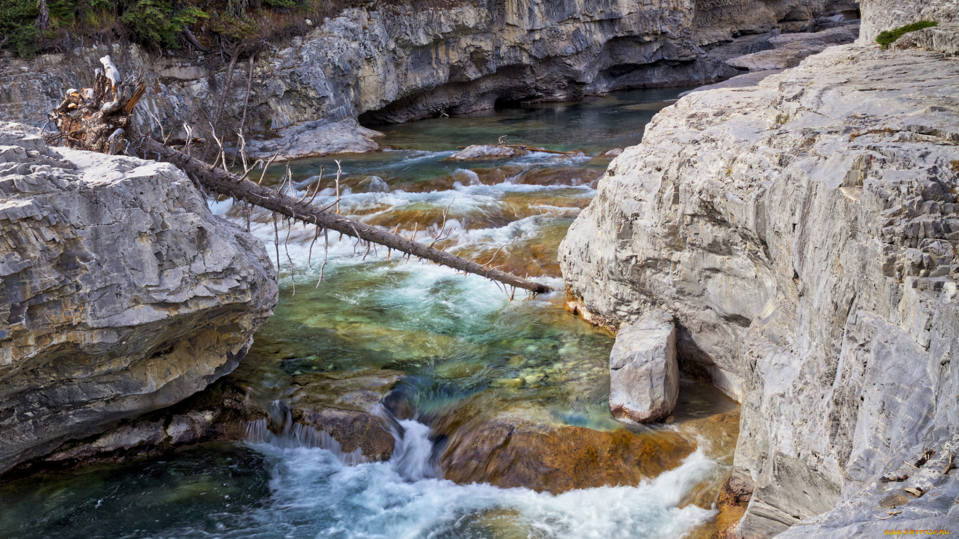 природа, реки, озера, простор