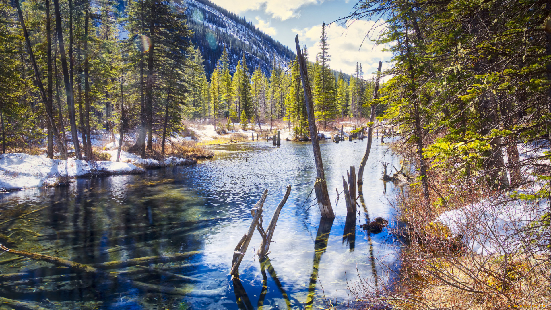 природа, реки, озера, простор