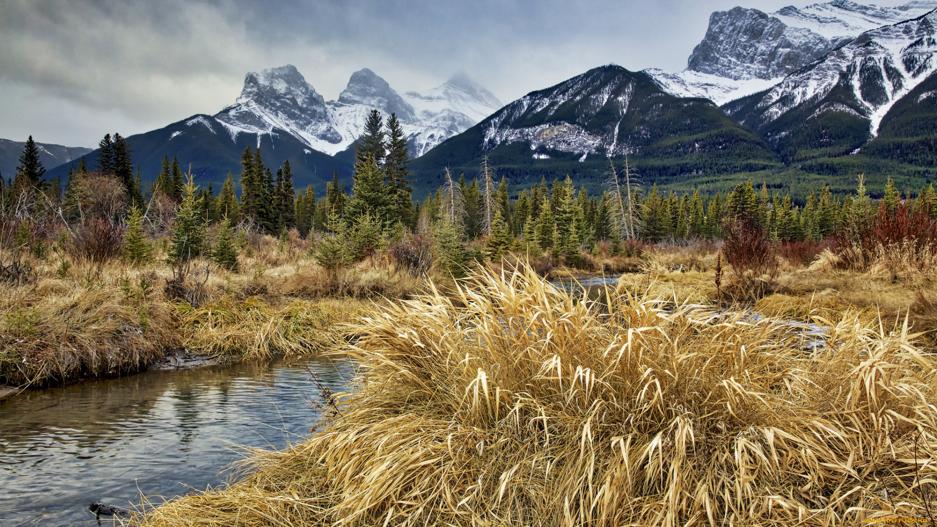 природа, реки, озера, простор