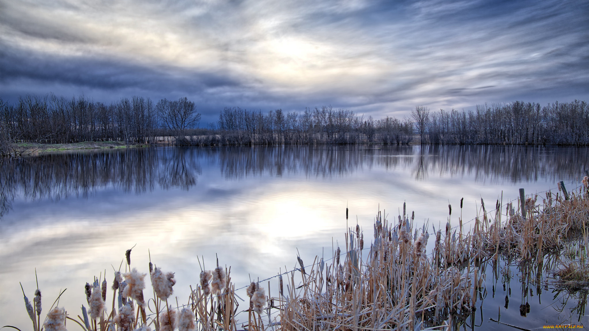 природа, реки, озера, простор