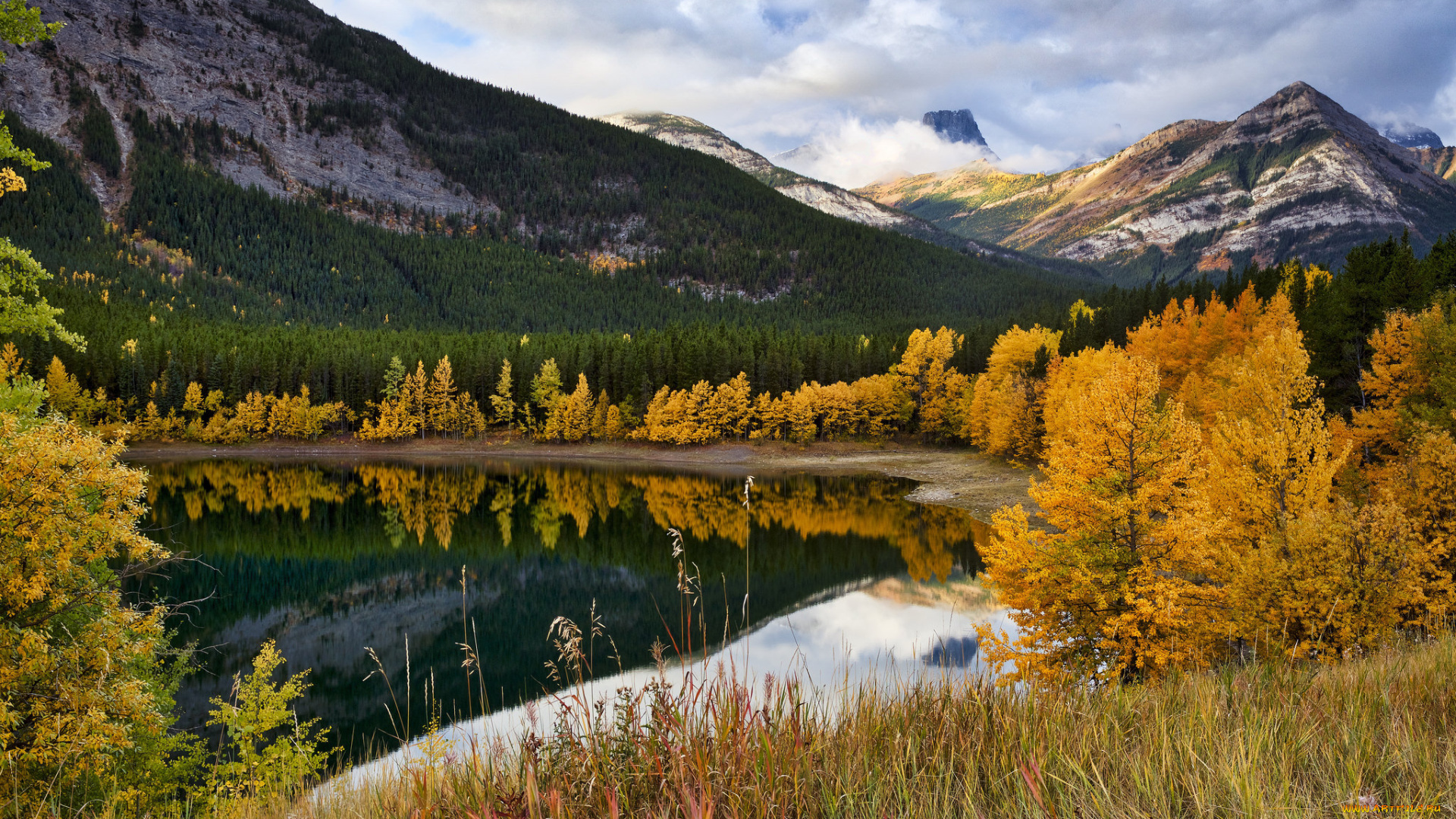 природа, реки, озера, простор