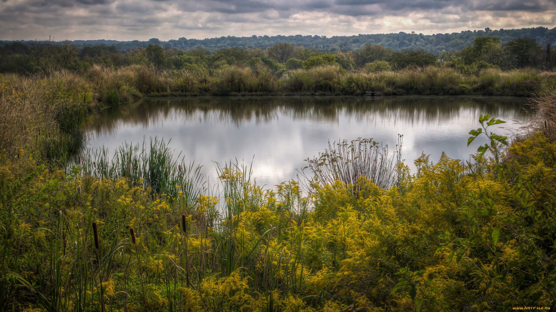 природа, реки, озера, простор