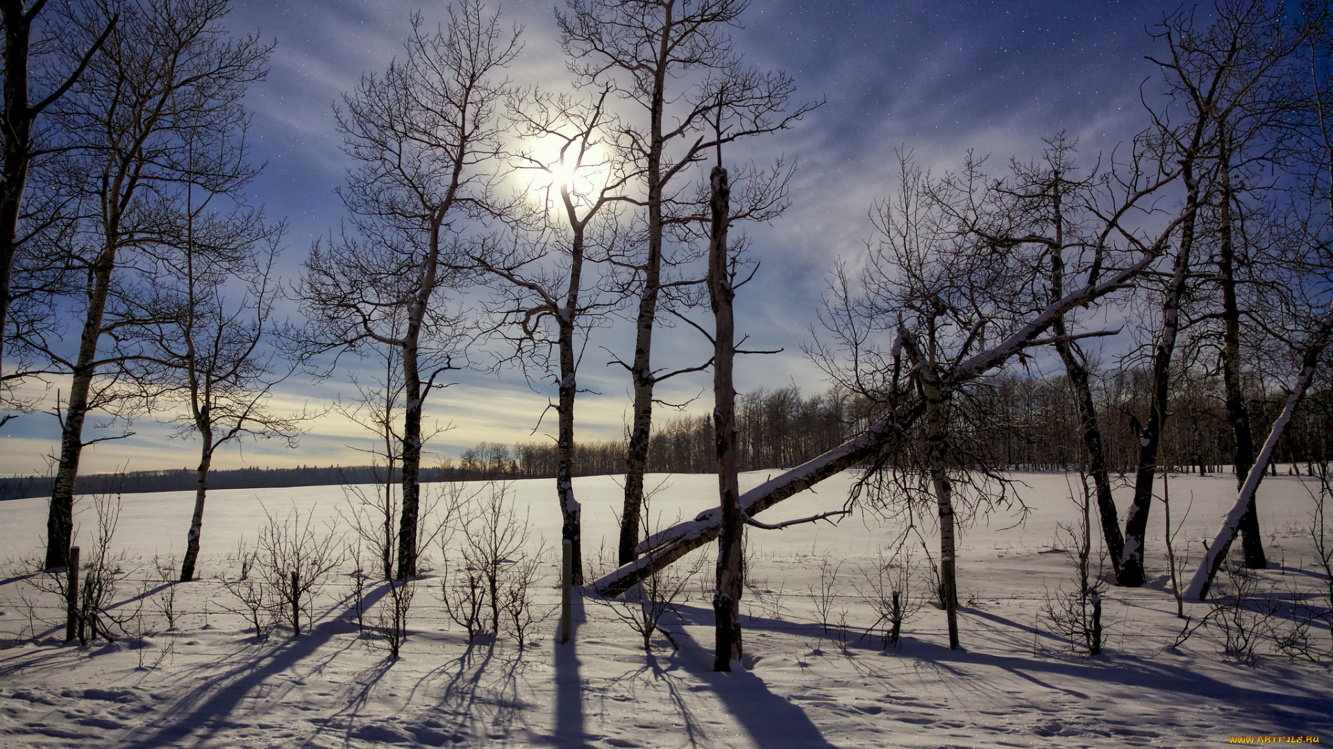 природа, зима, простор