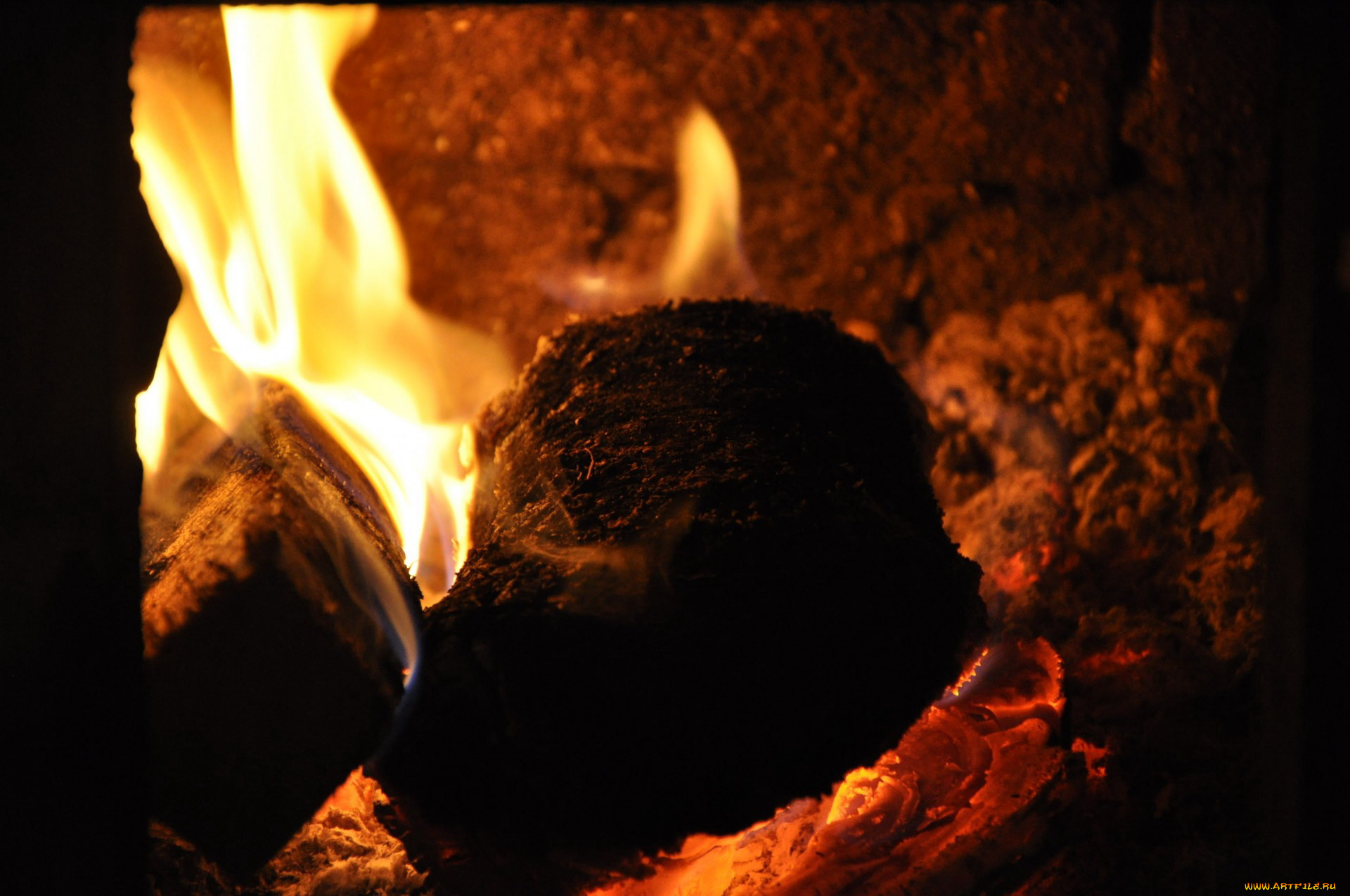 природа, огонь, пламя