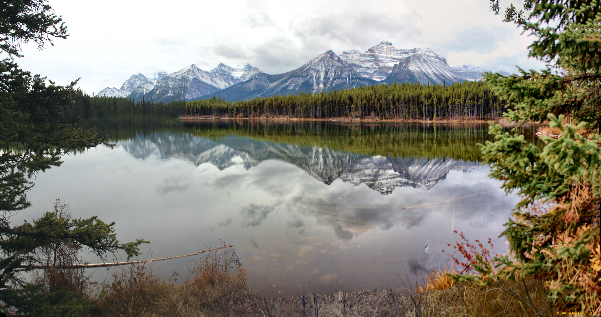 природа, реки, озера, простор