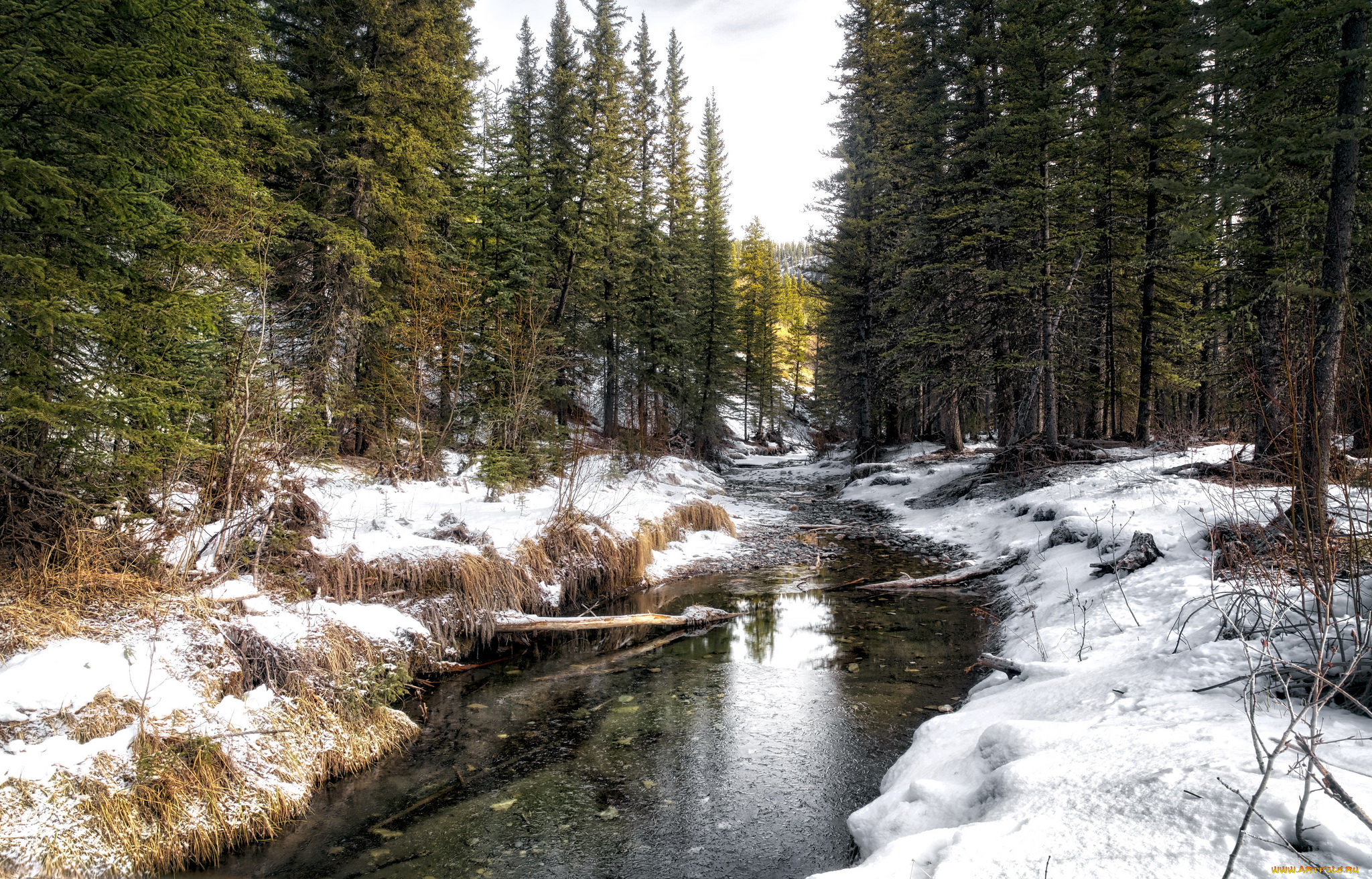 природа, реки, озера, простор